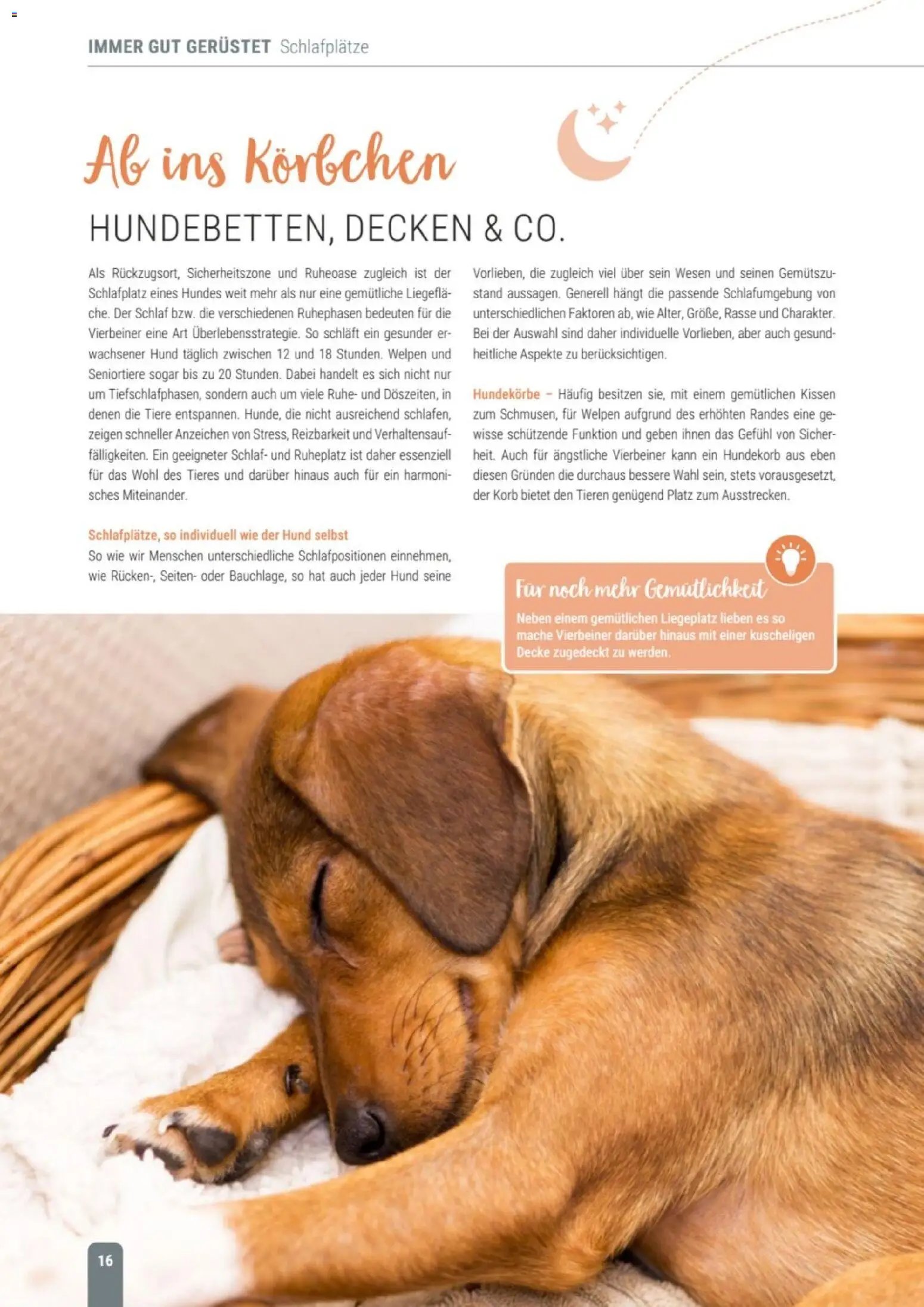 zookauf Themenkatalog Hund