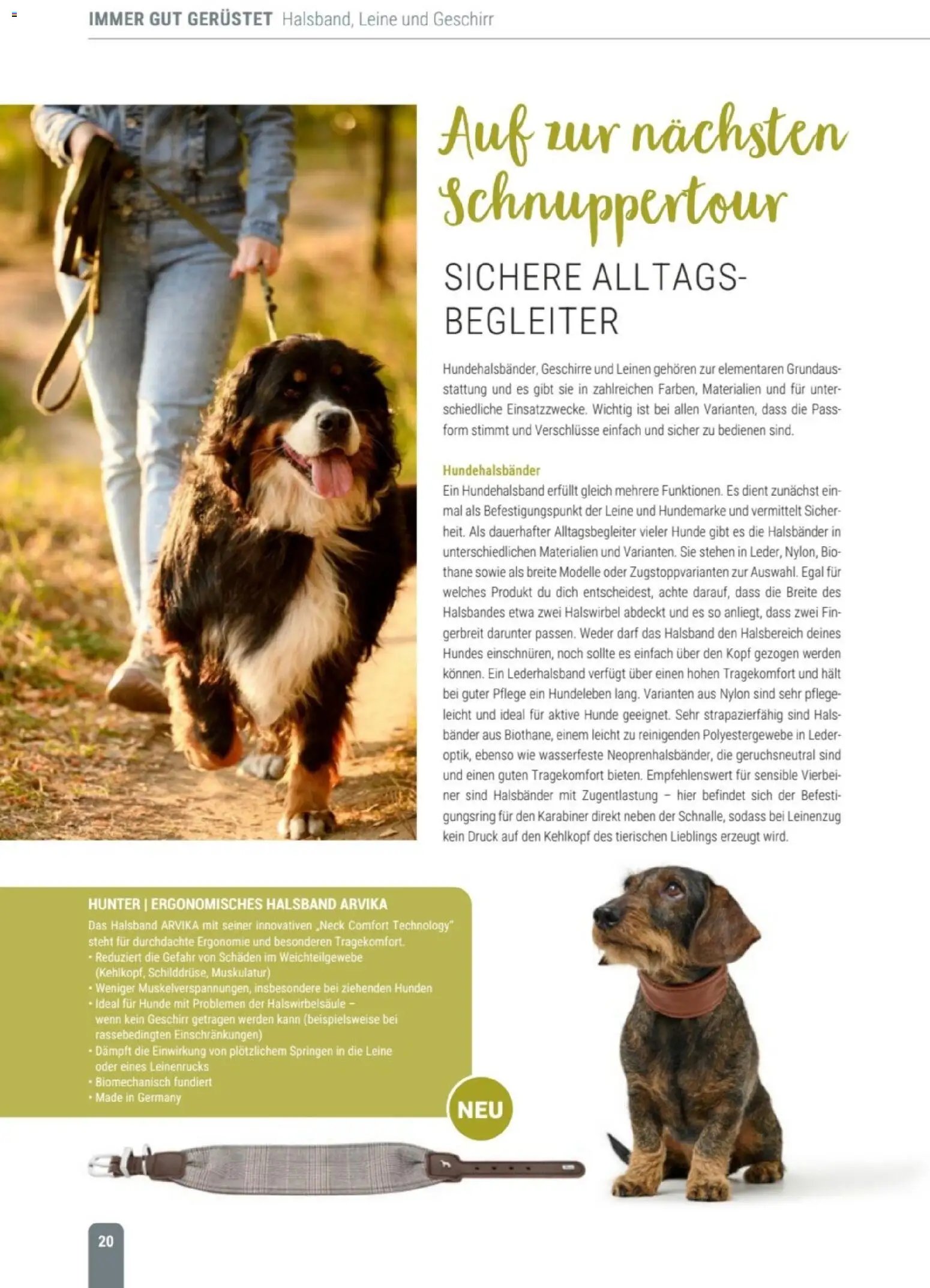 zookauf Themenkatalog Hund