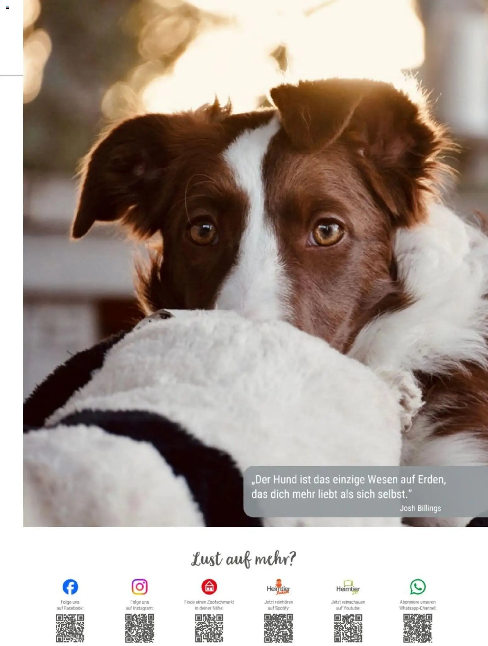 zookauf Themenkatalog Hund