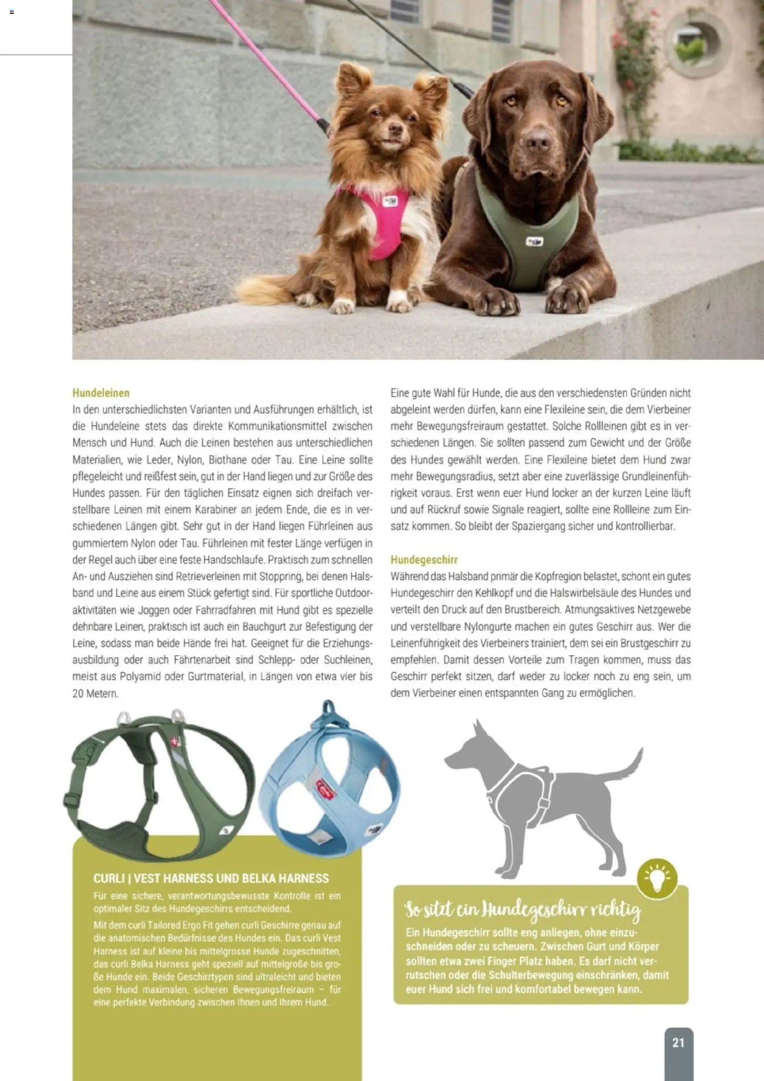 zookauf Themenkatalog Hund