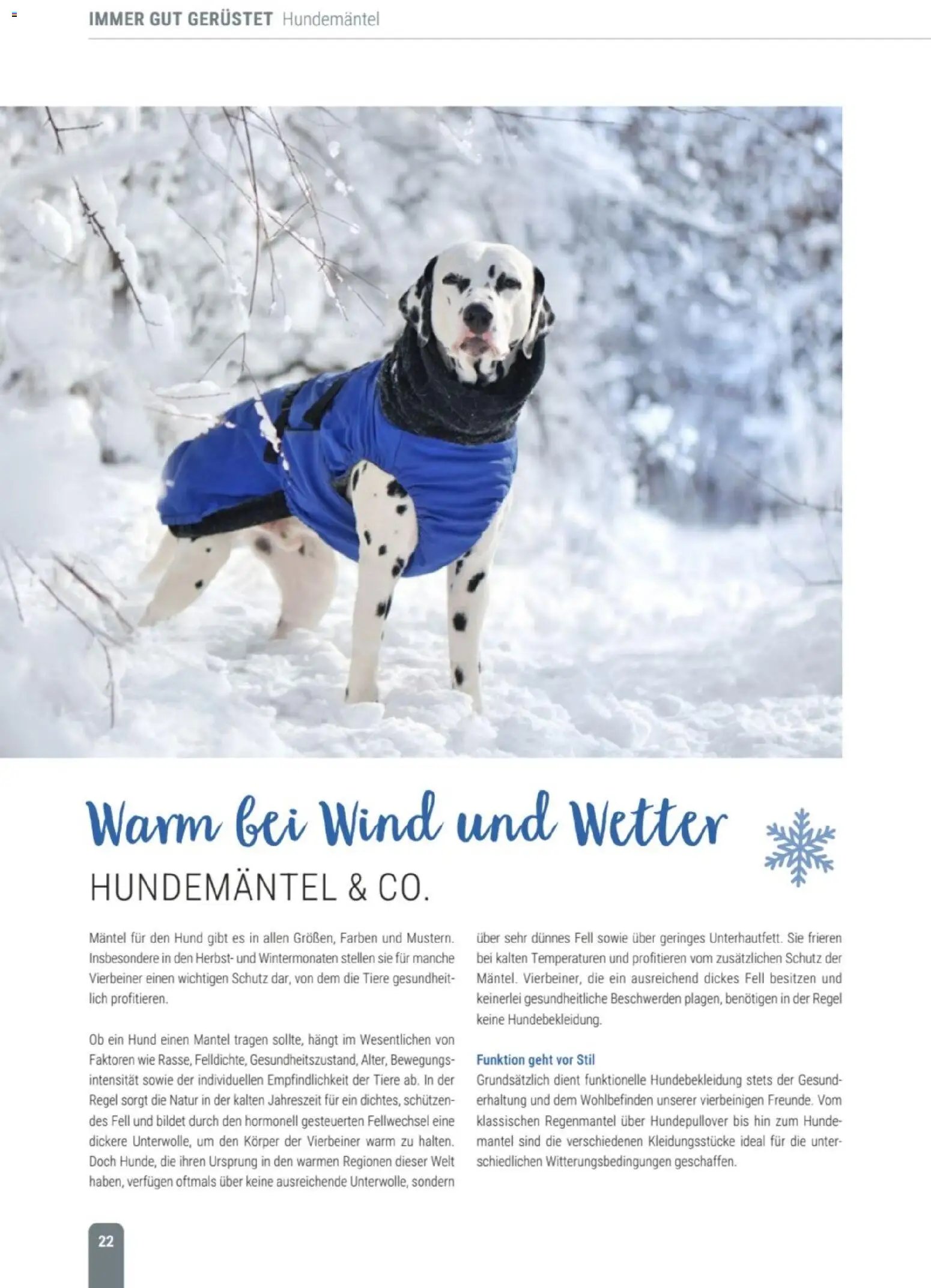 zookauf Themenkatalog Hund