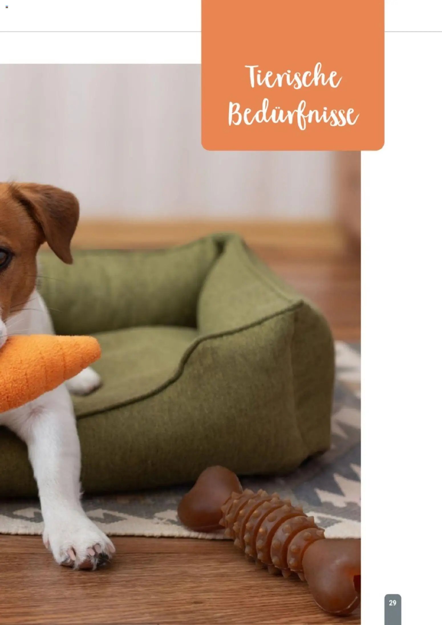 zookauf Themenkatalog Hund