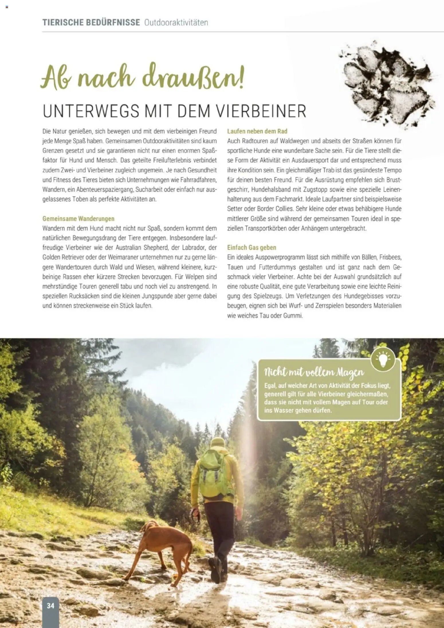 zookauf Themenkatalog Hund