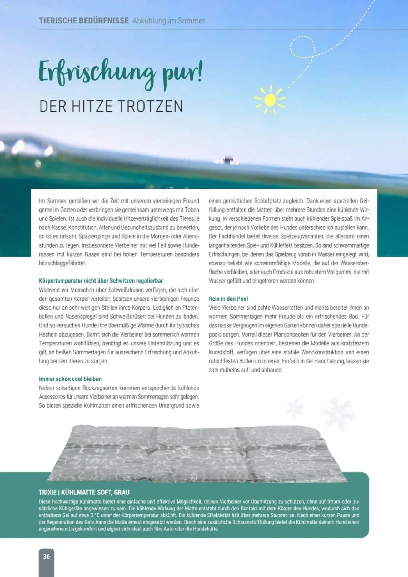 zookauf Themenkatalog Hund