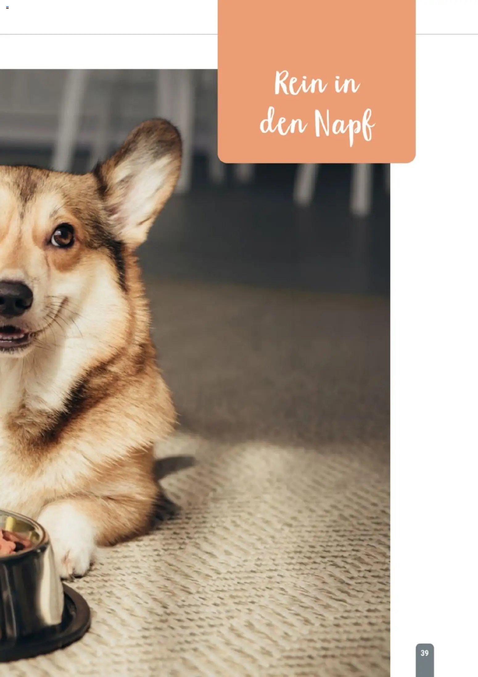 zookauf Themenkatalog Hund