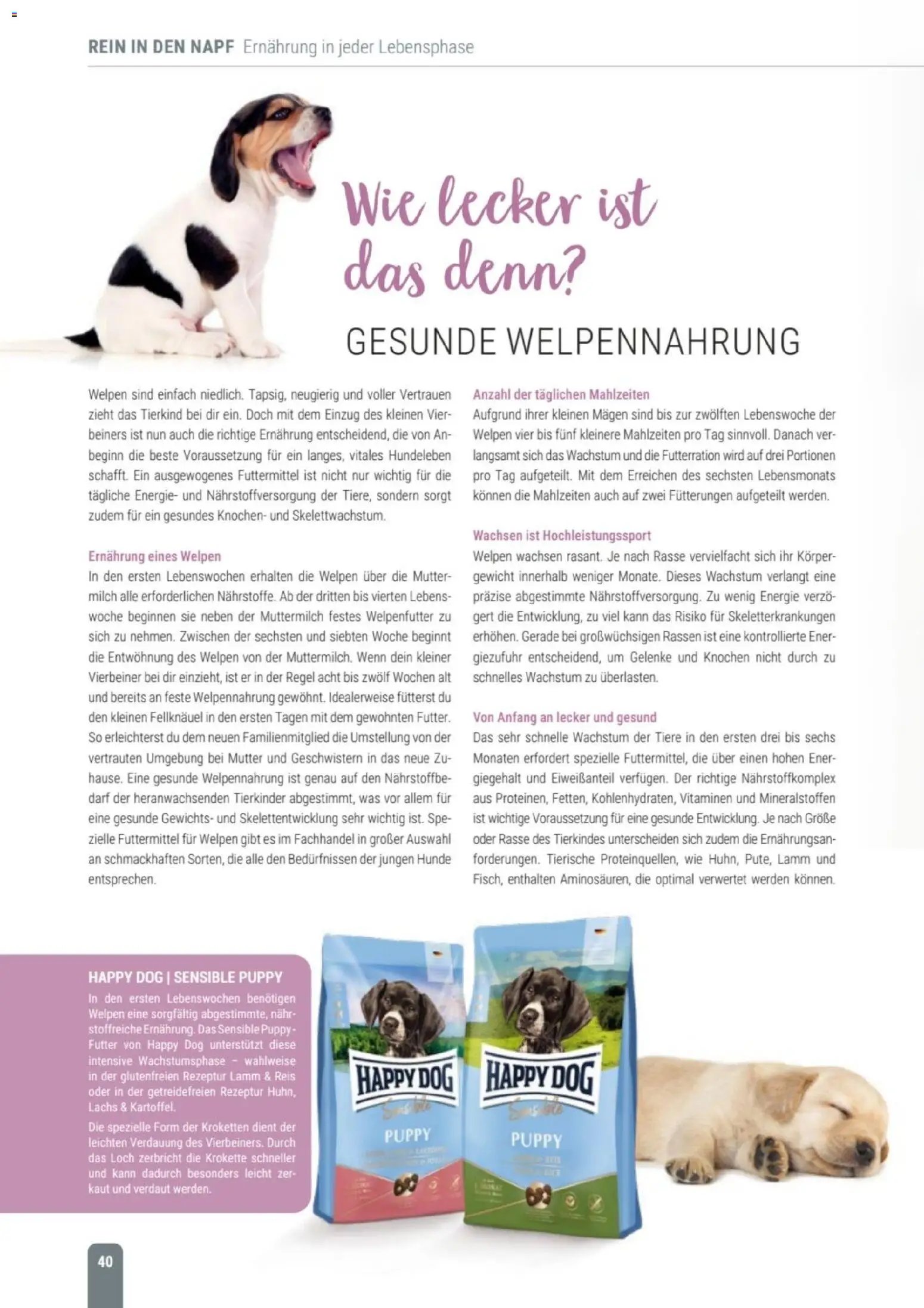 zookauf Themenkatalog Hund