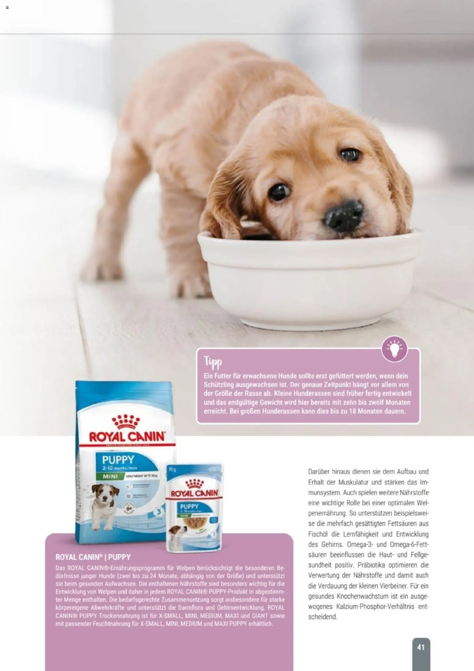 zookauf Themenkatalog Hund