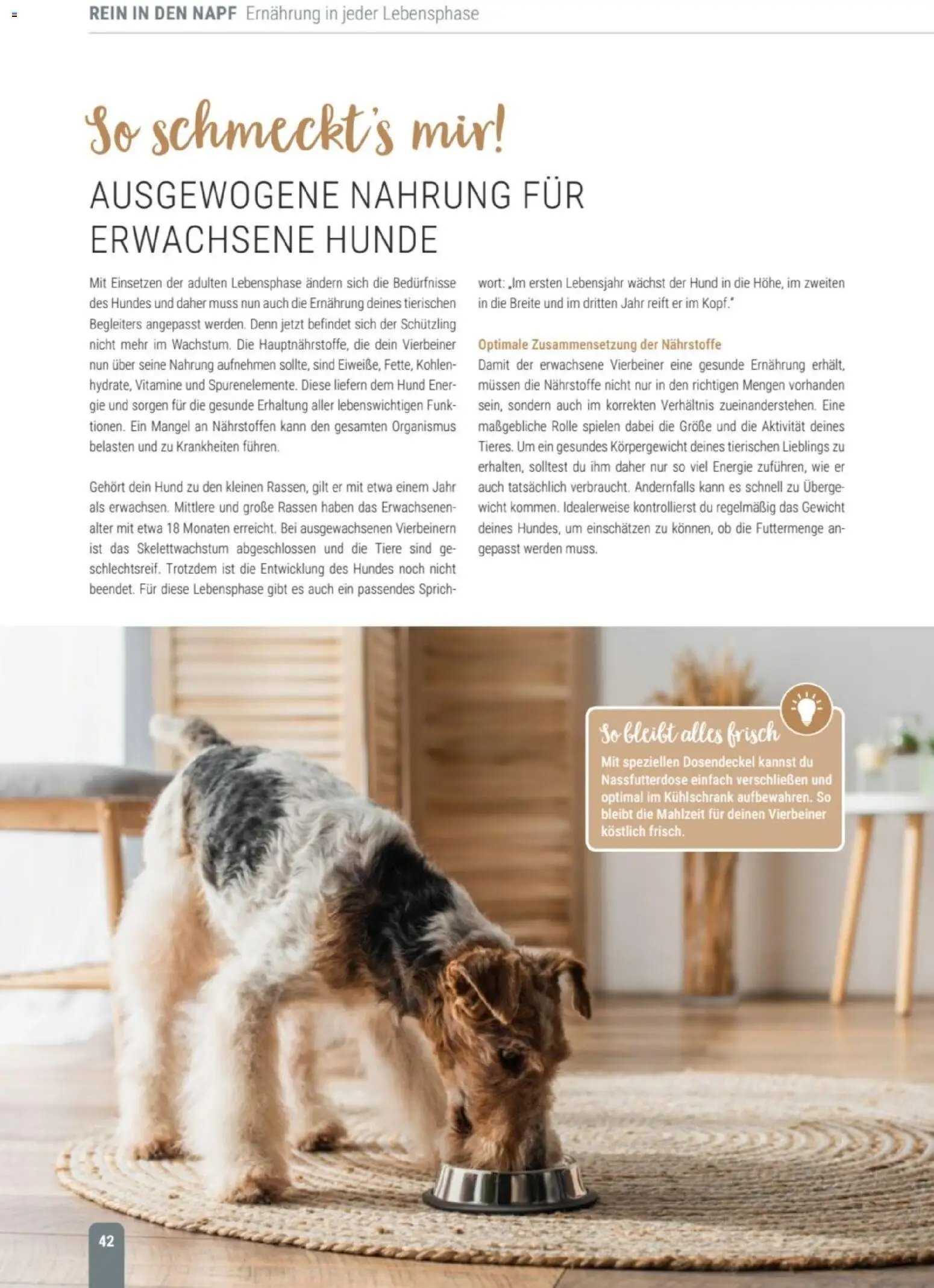 zookauf Themenkatalog Hund