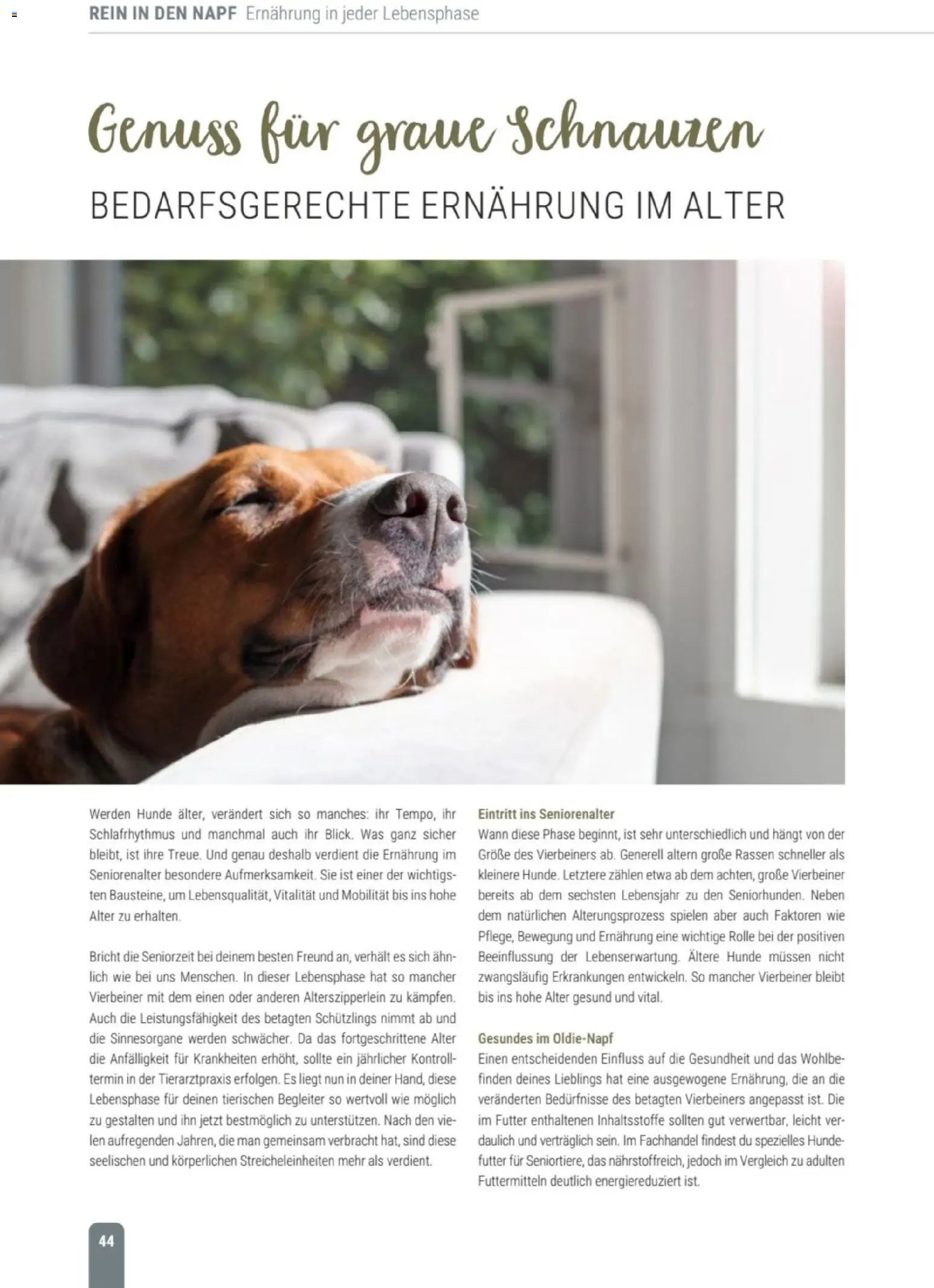 zookauf Themenkatalog Hund