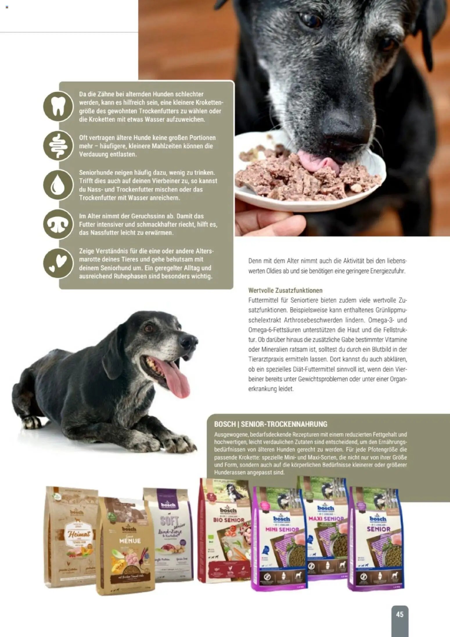 zookauf Themenkatalog Hund