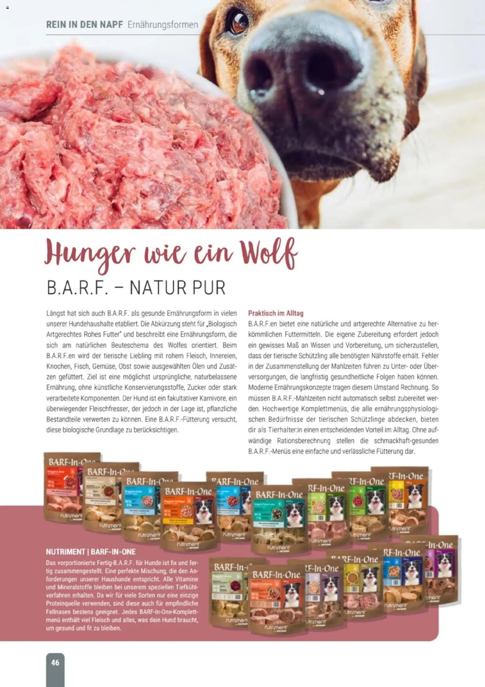 zookauf Themenkatalog Hund