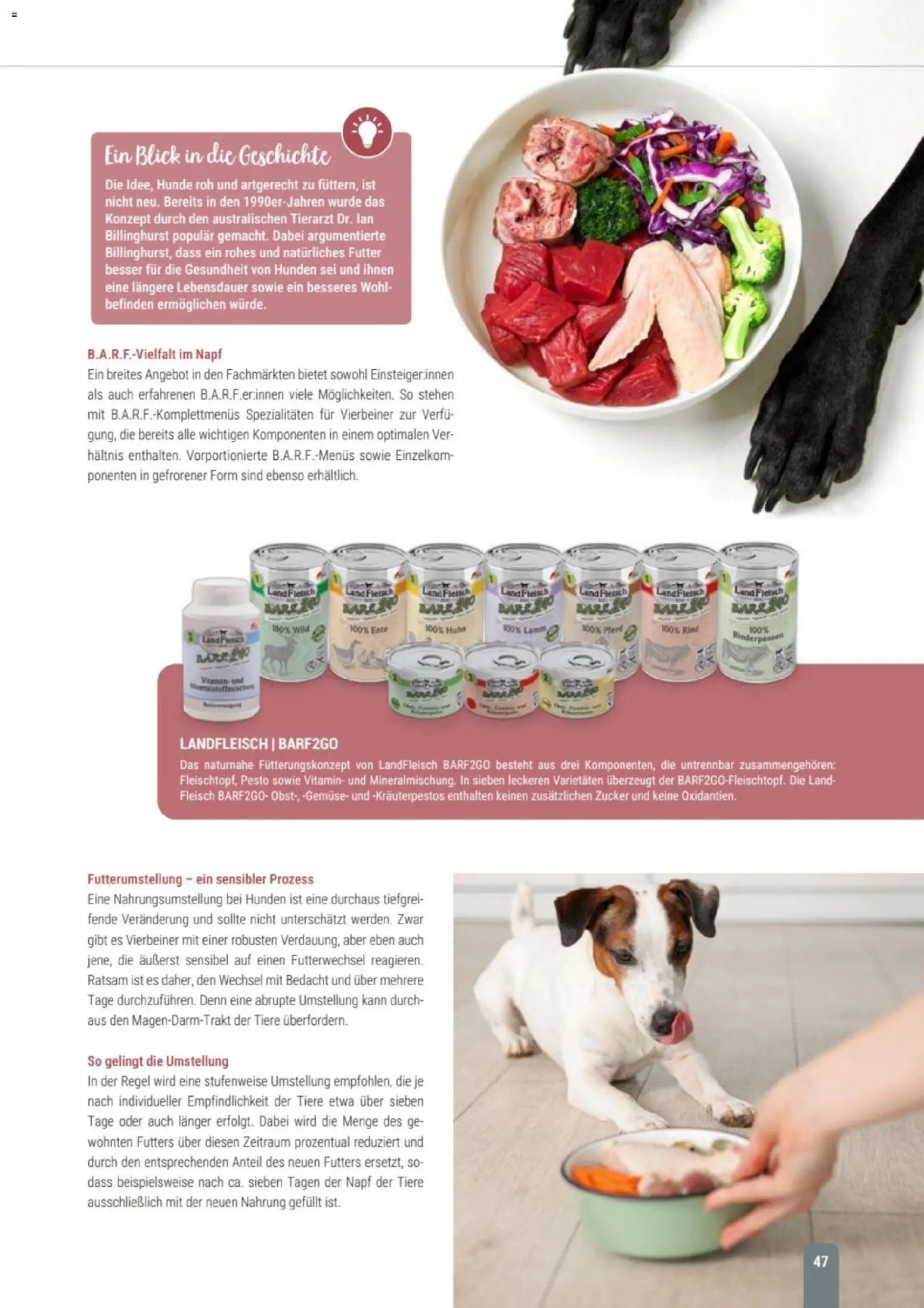 zookauf Themenkatalog Hund