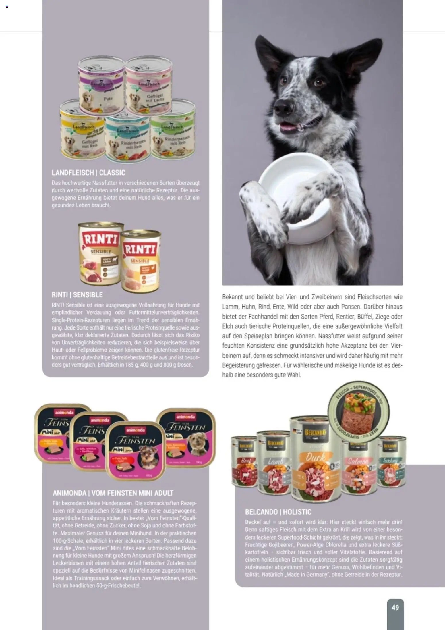 zookauf Themenkatalog Hund