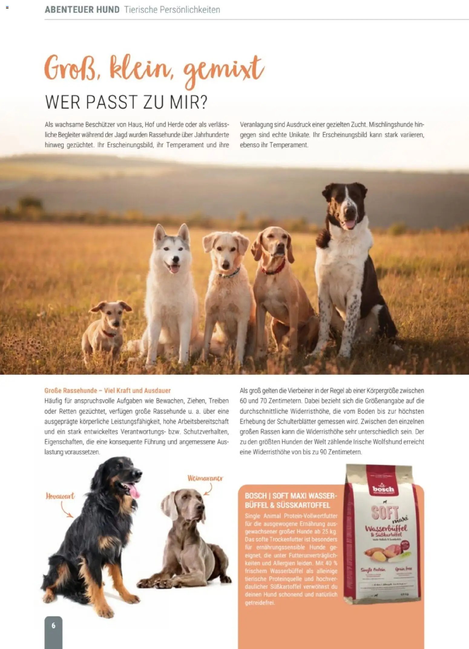 zookauf Themenkatalog Hund