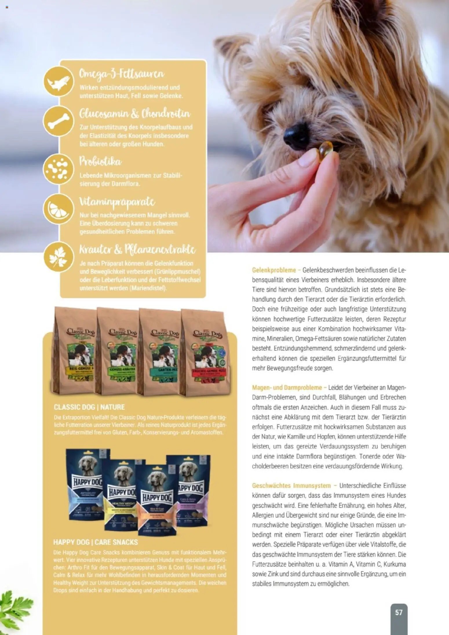 zookauf Themenkatalog Hund