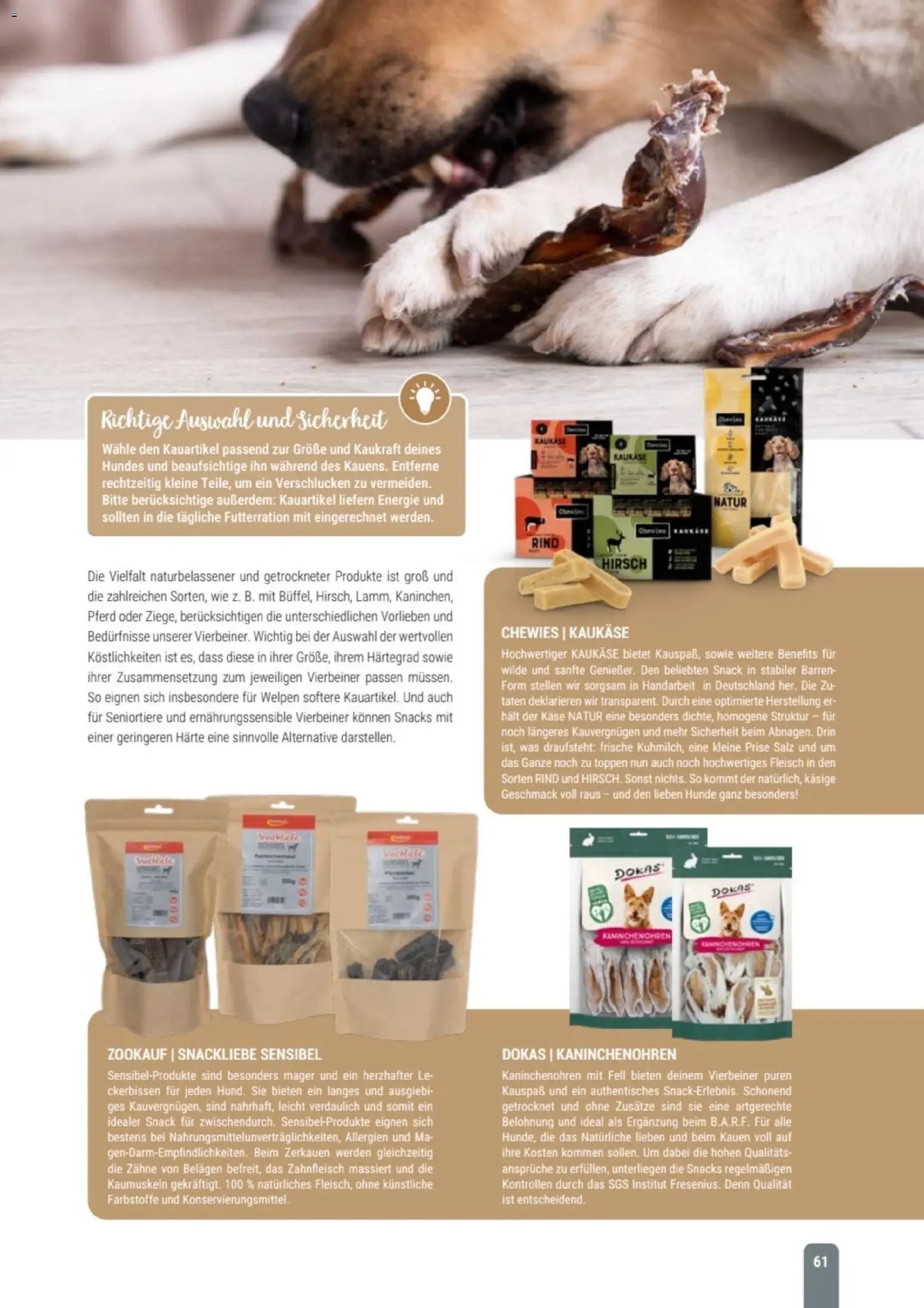 zookauf Themenkatalog Hund