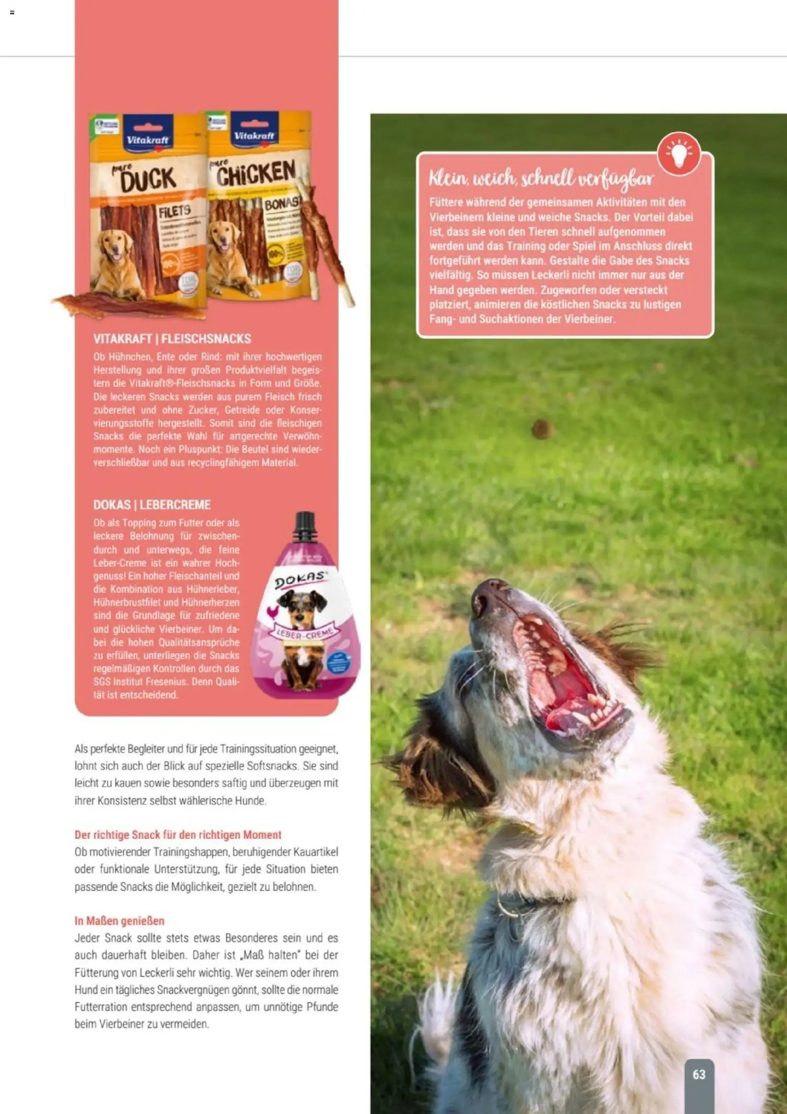 zookauf Themenkatalog Hund