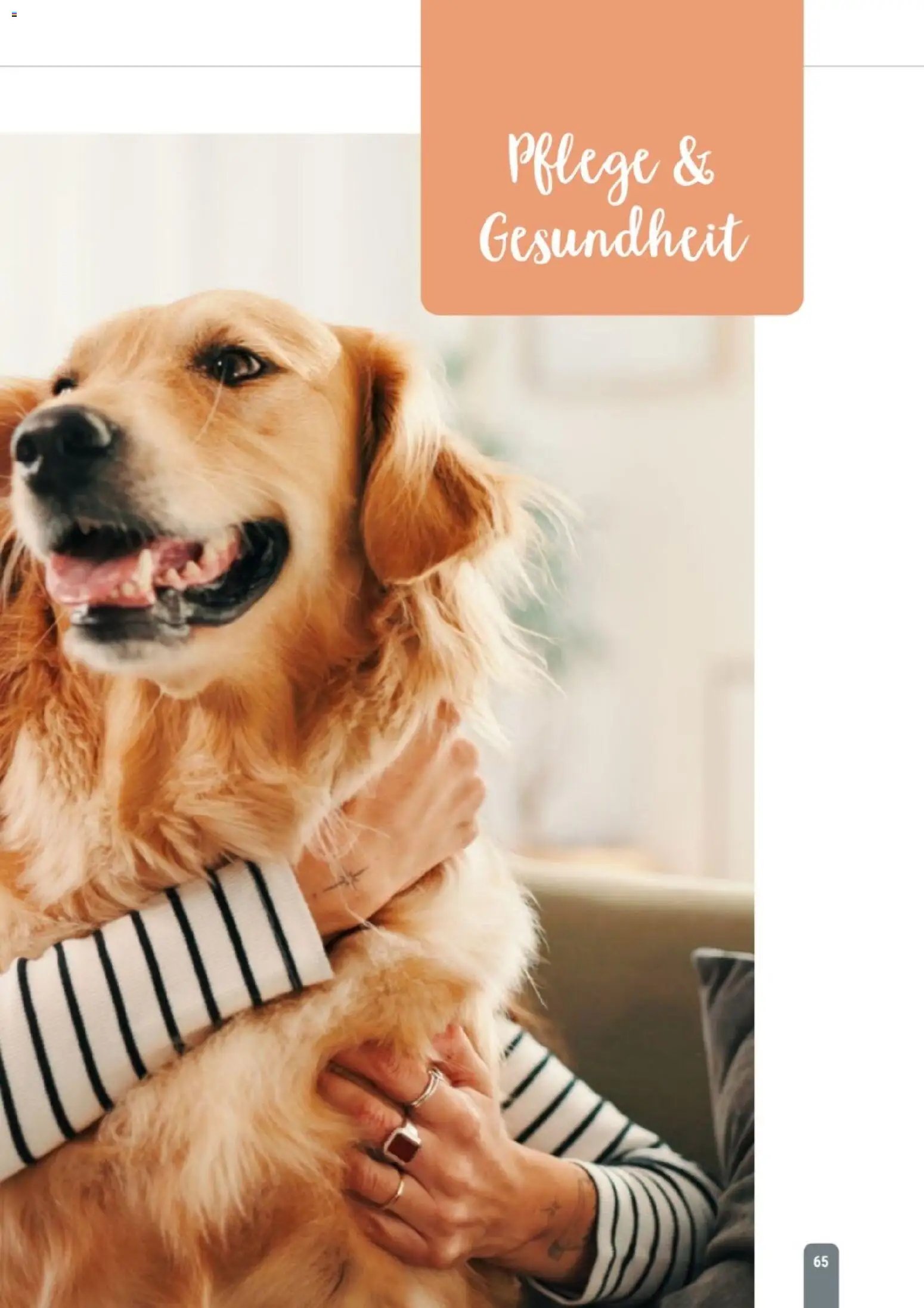 zookauf Themenkatalog Hund