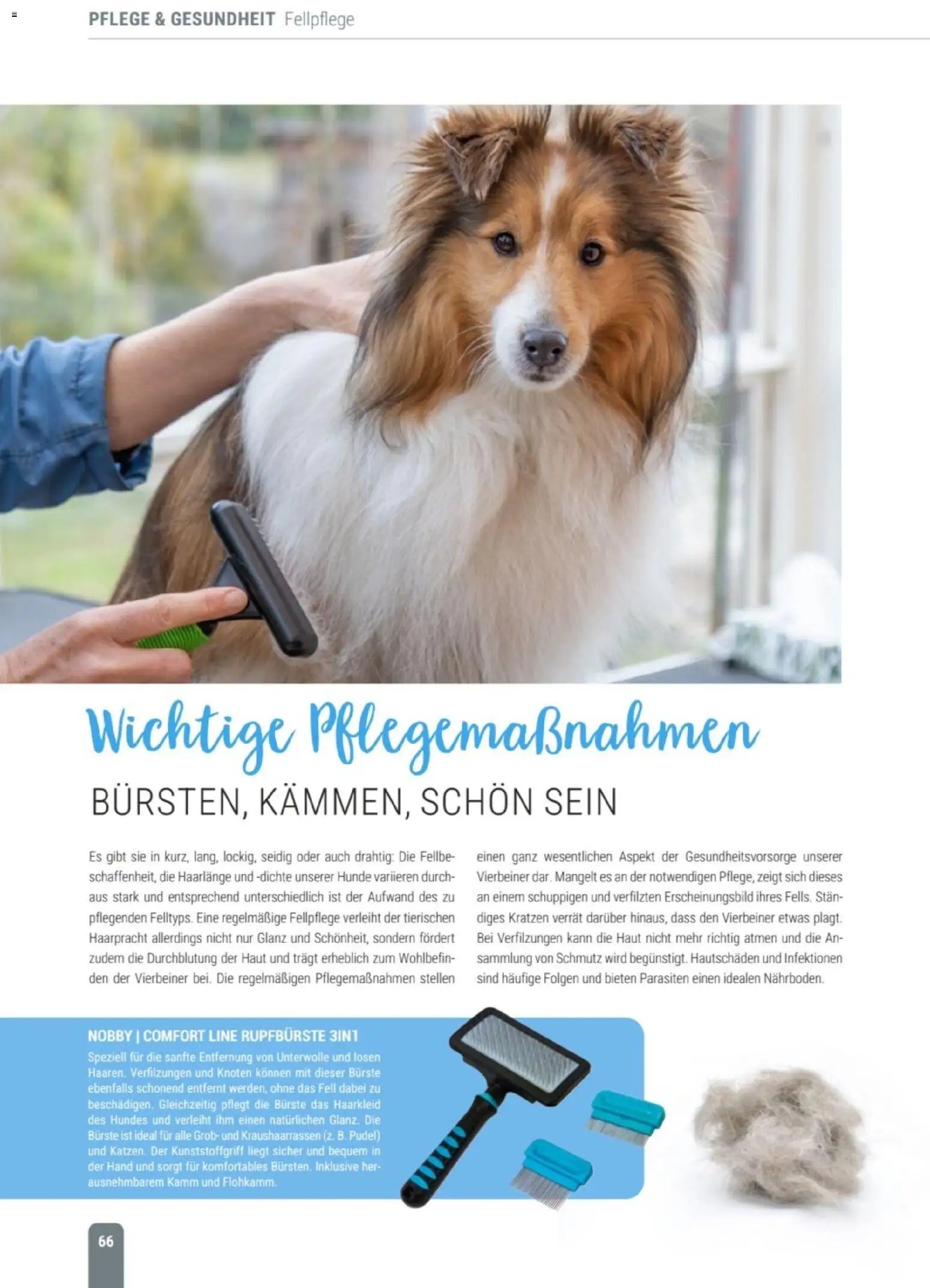 zookauf Themenkatalog Hund