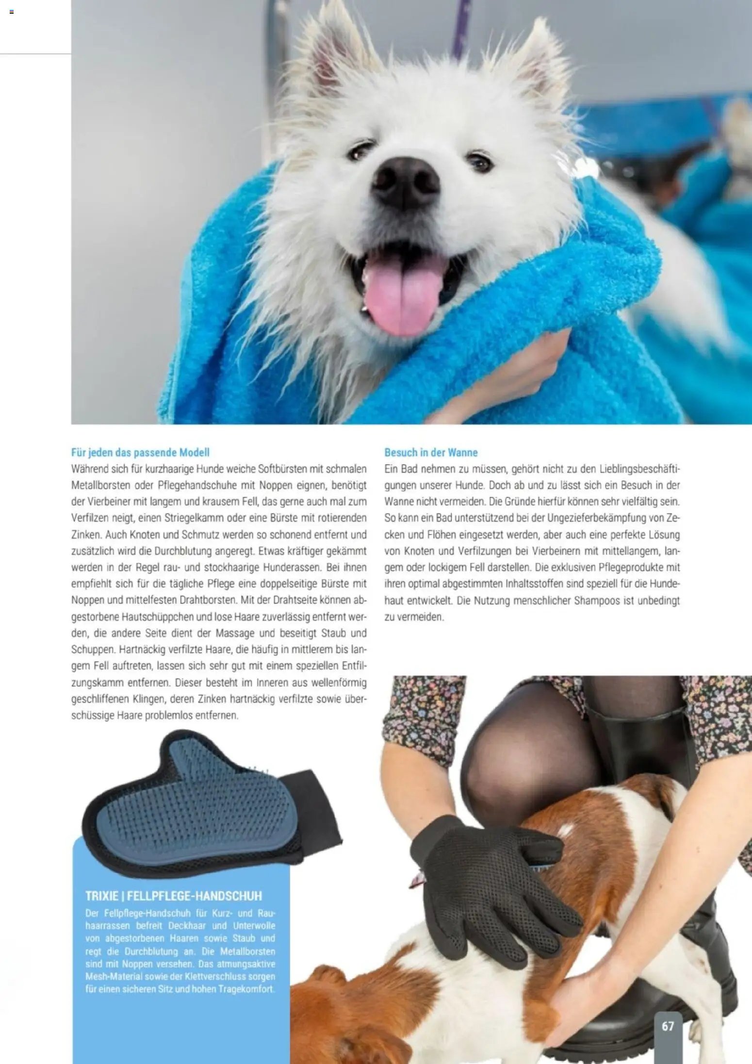 zookauf Themenkatalog Hund