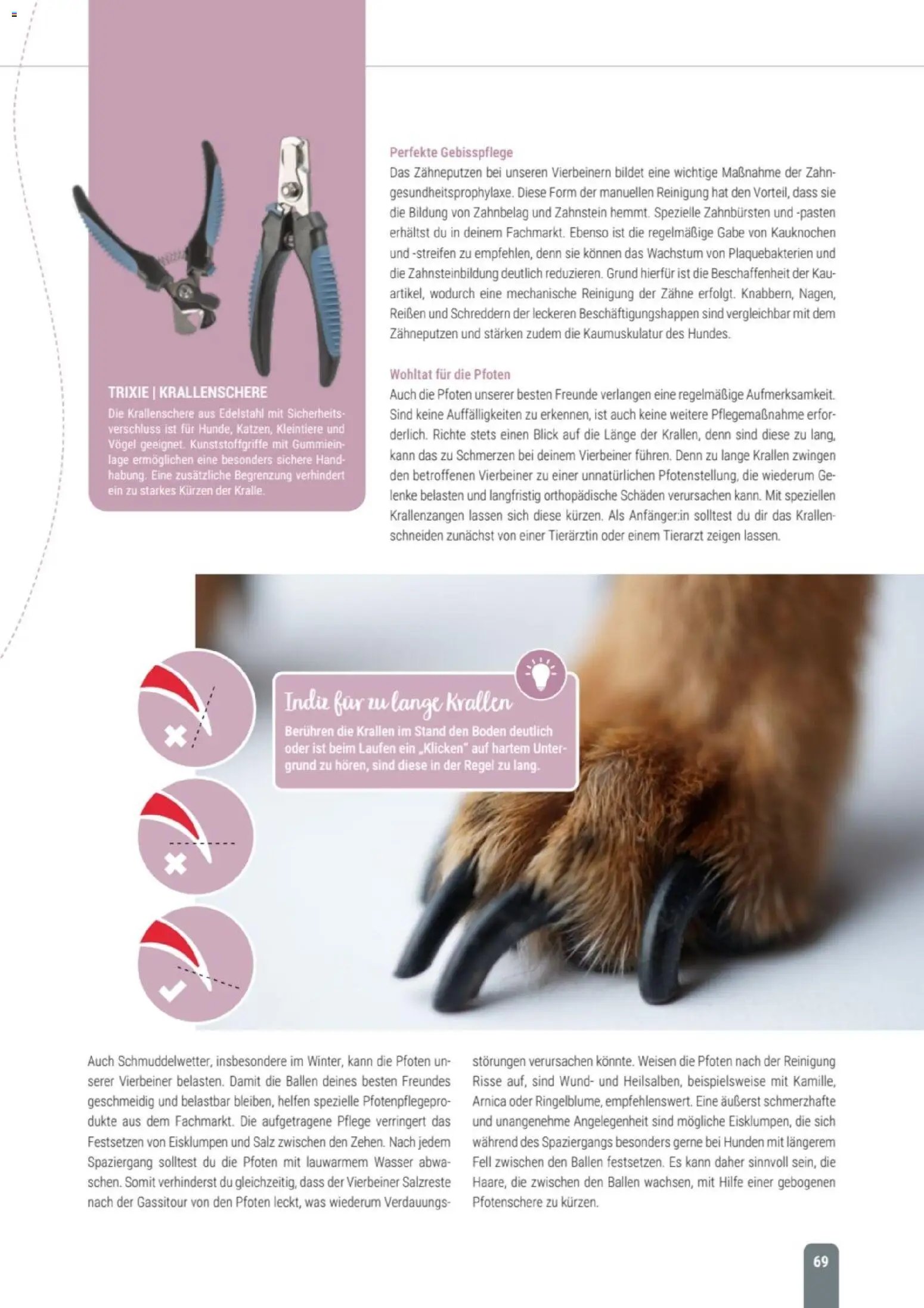 zookauf Themenkatalog Hund