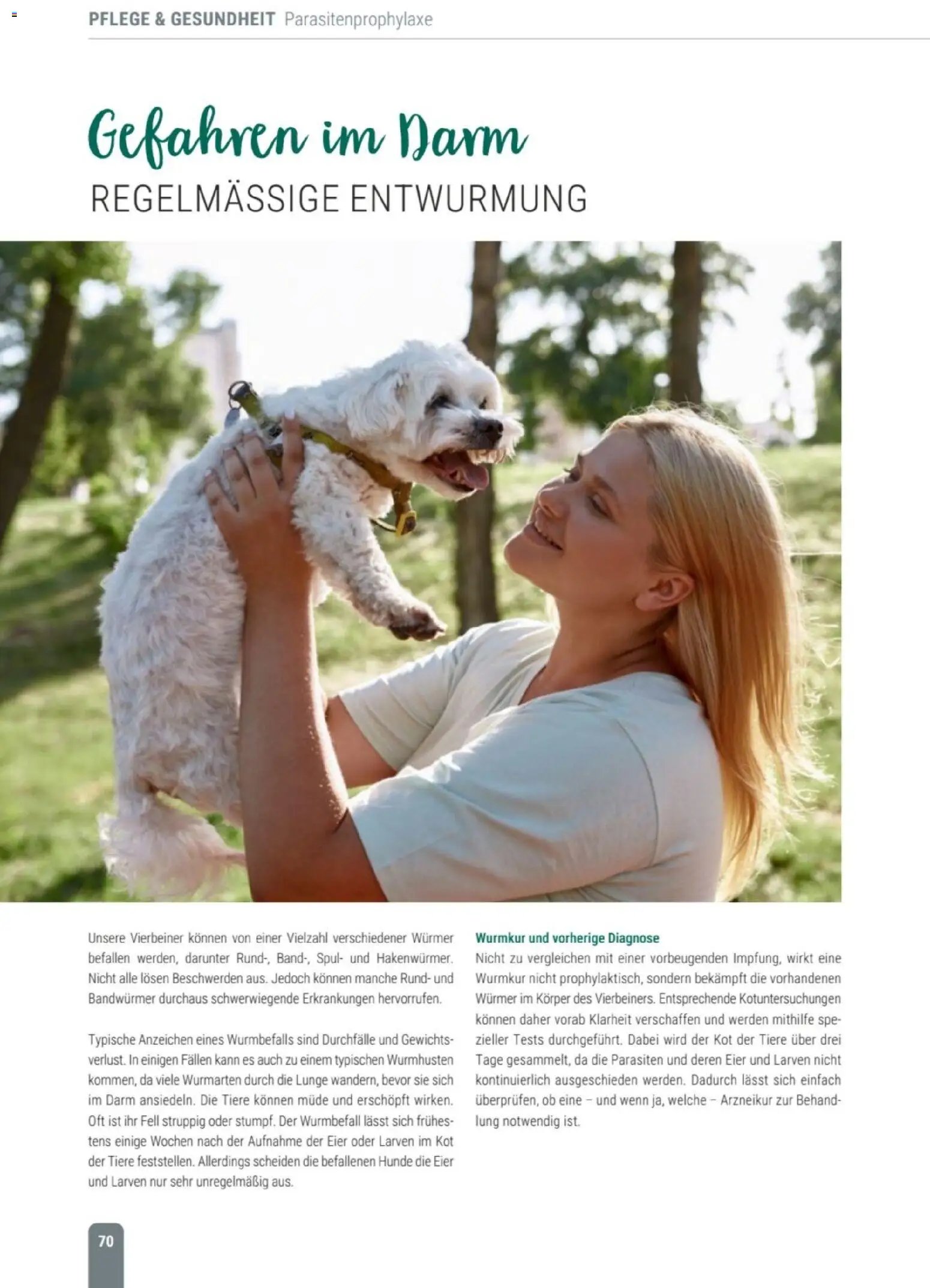 zookauf Themenkatalog Hund