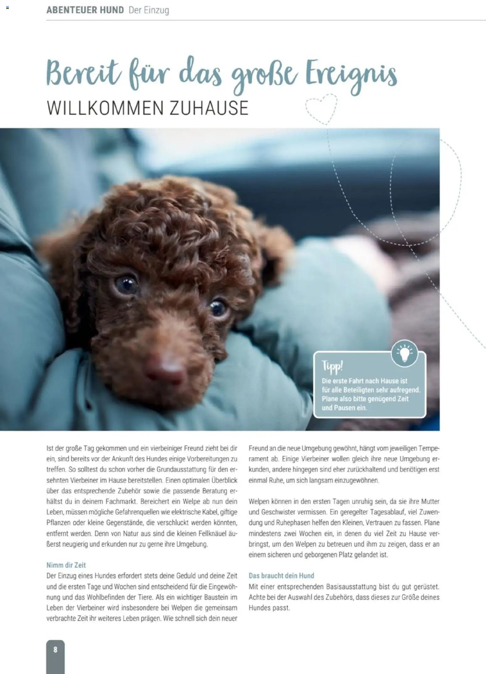 zookauf Themenkatalog Hund