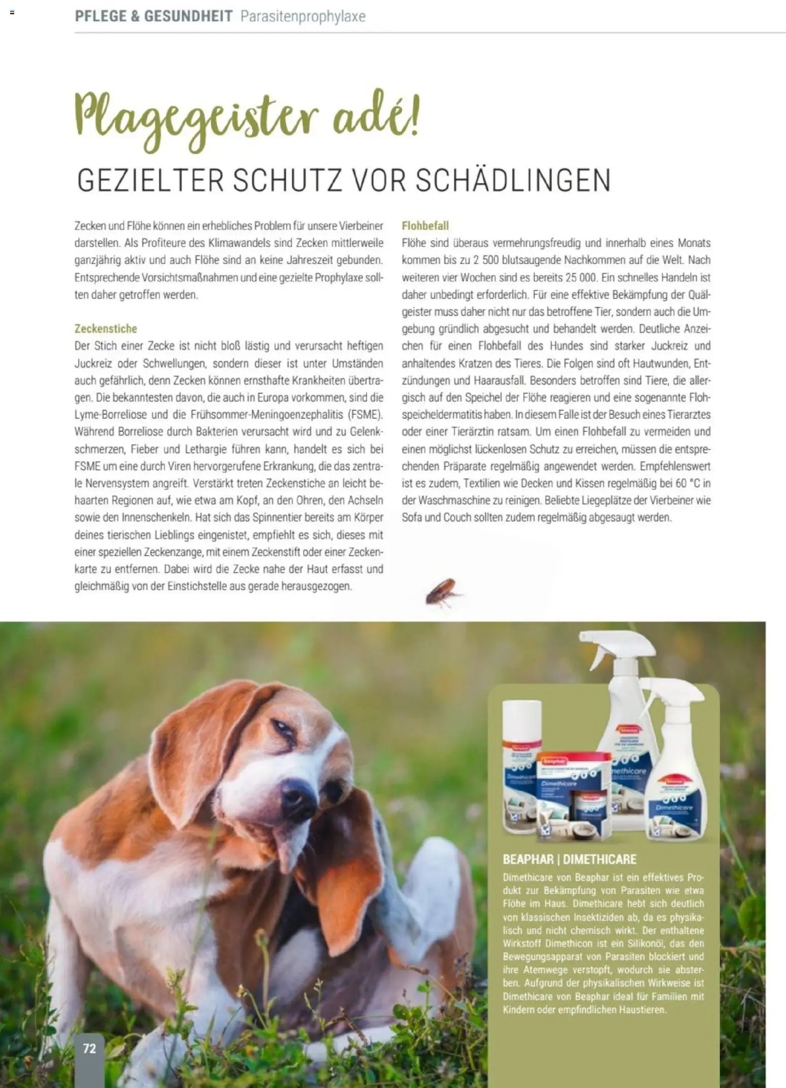 zookauf Themenkatalog Hund