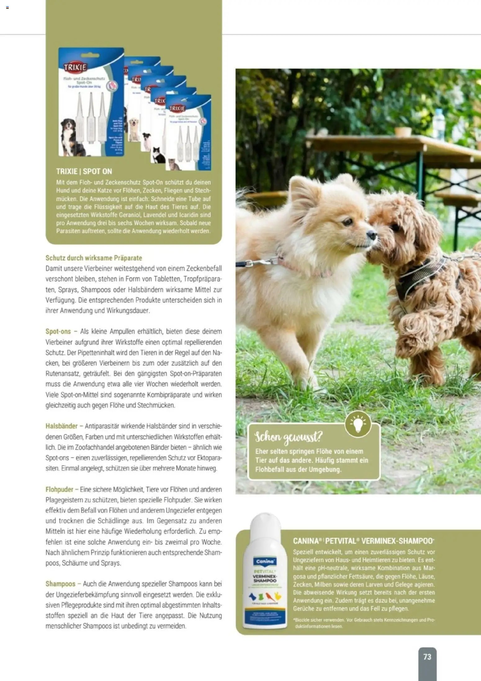 zookauf Themenkatalog Hund