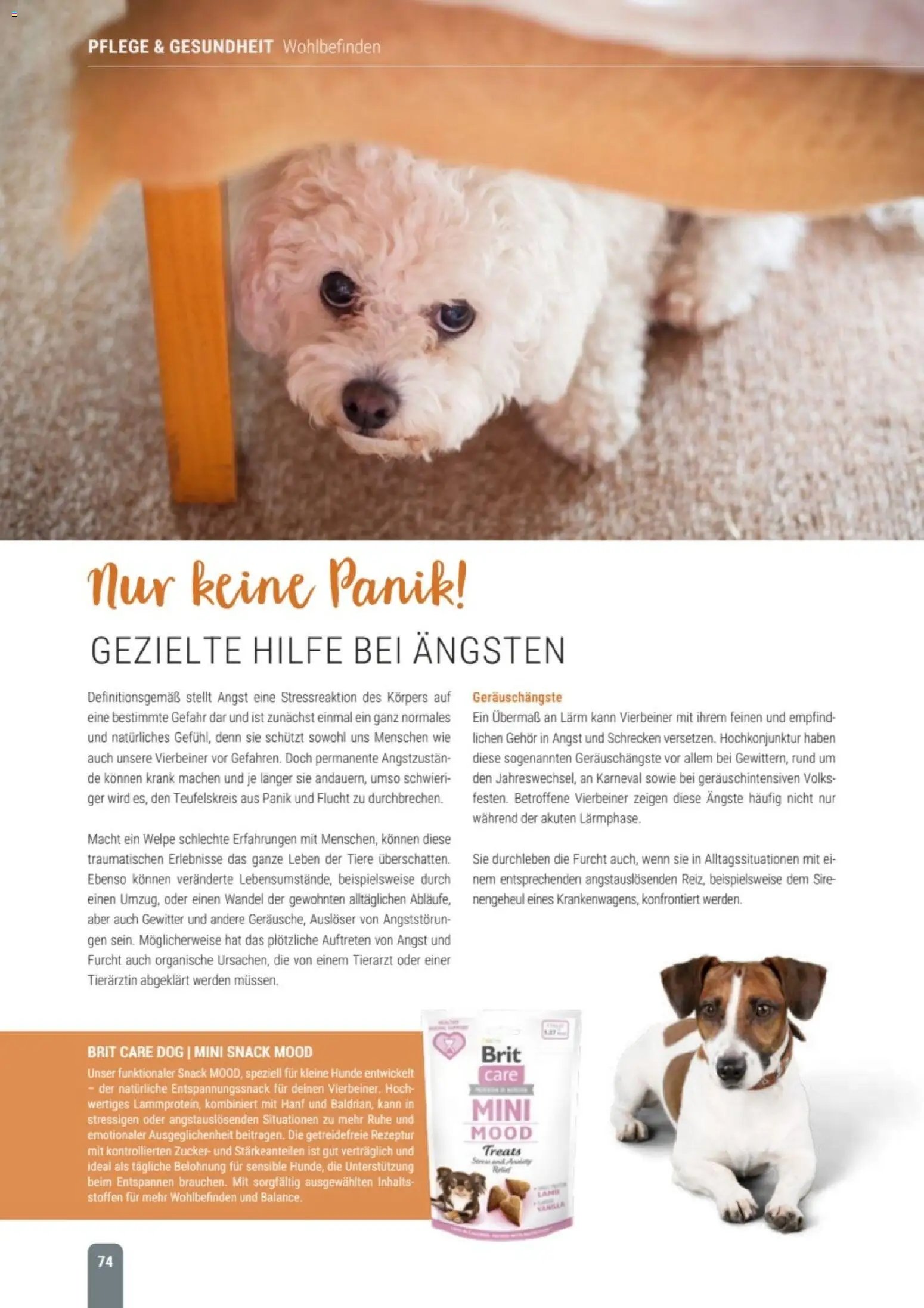 zookauf Themenkatalog Hund