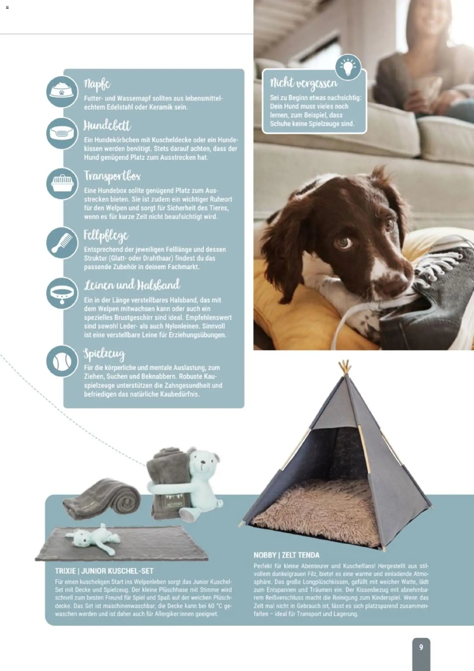 zookauf Themenkatalog Hund