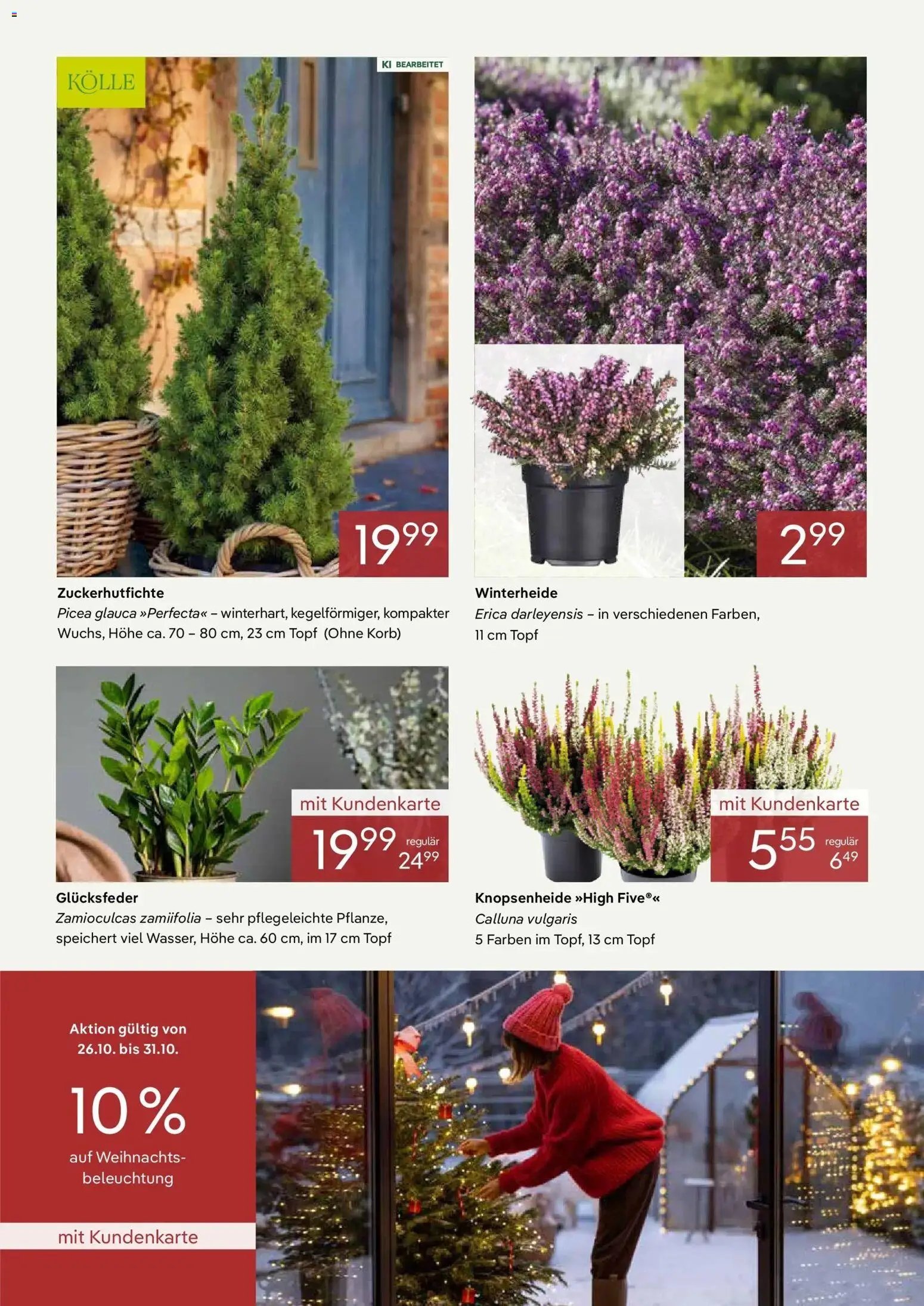 Pflanzen-Kölle - Pflanzen-Kölle: Unsere starken Dauerpreise