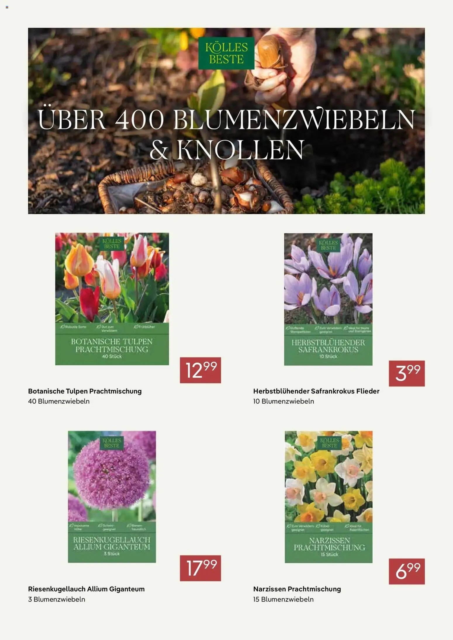 Pflanzen-Kölle - Pflanzen-Kölle: Unsere starken Dauerpreise