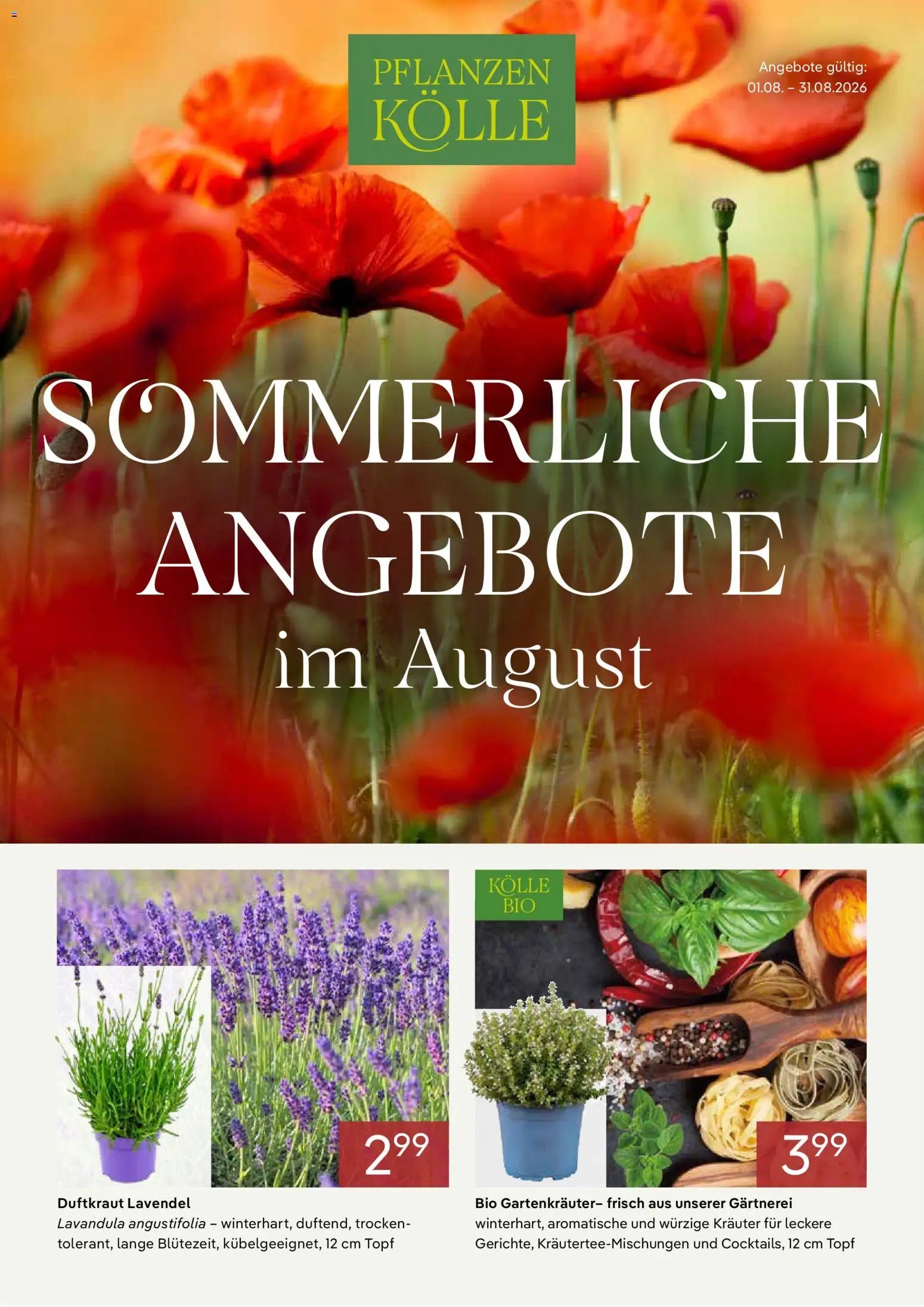 Pflanzen-Kölle Onlineflyer August