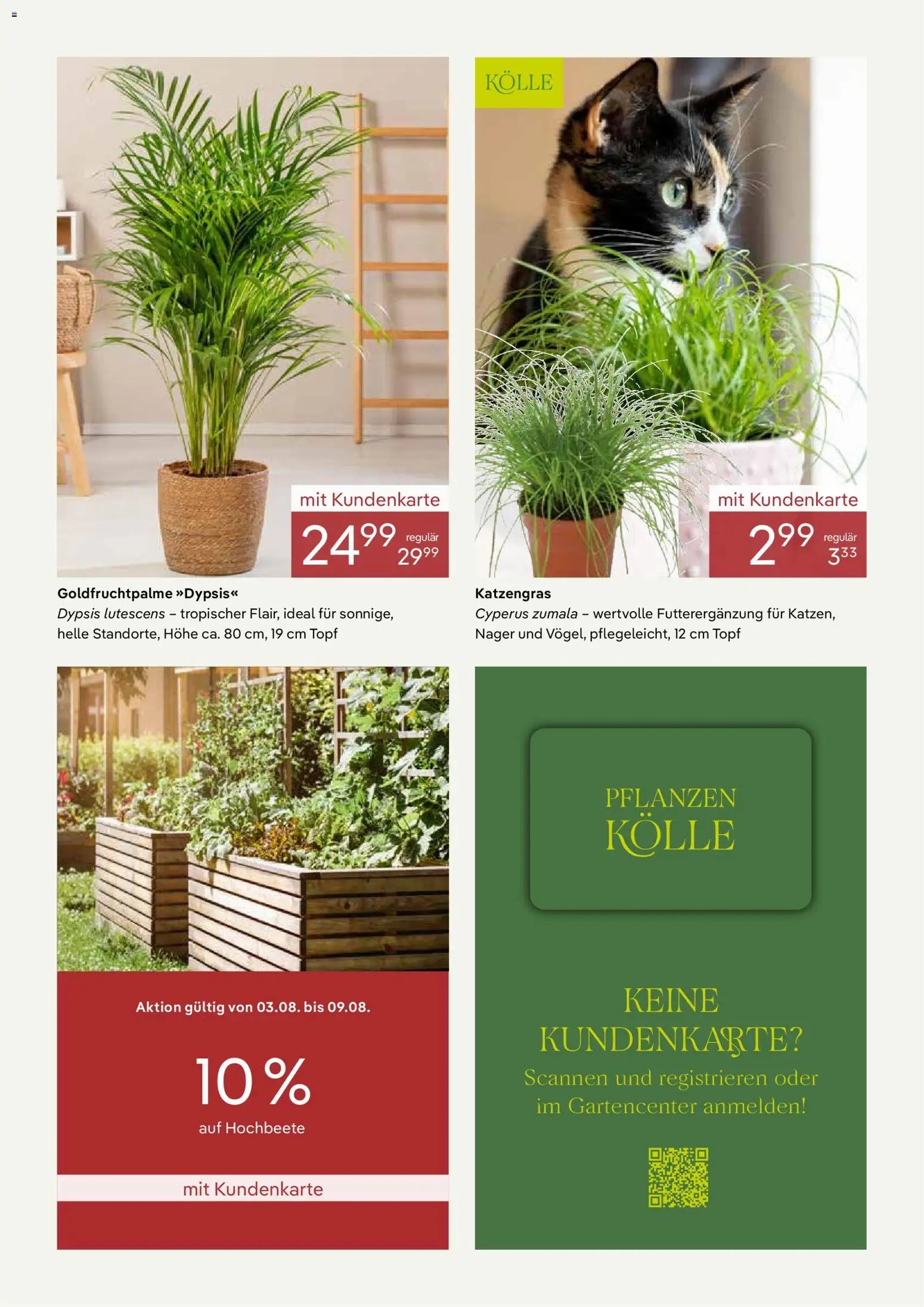 Pflanzen-Kölle Onlineflyer August