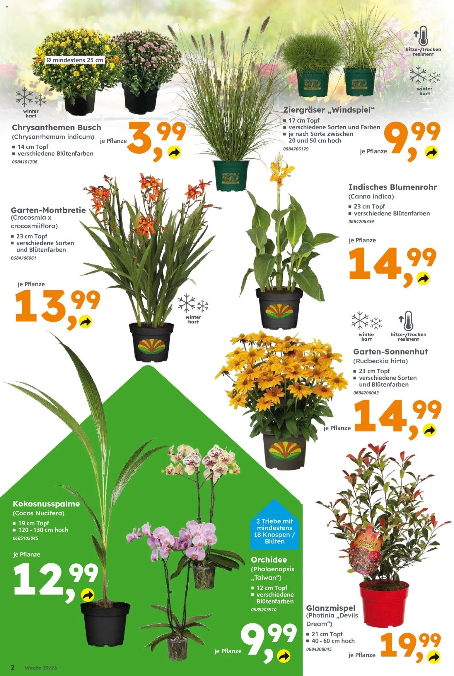 Globus Baumarkt Prospekt Dietzenbach