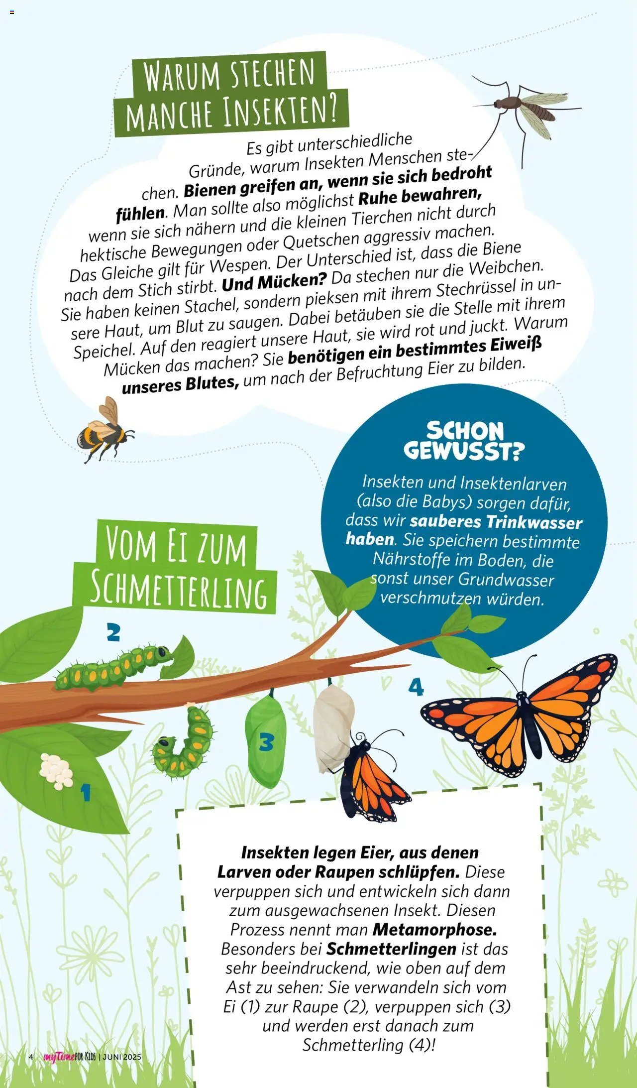 Famila Nordwest - myTime Juni 2025