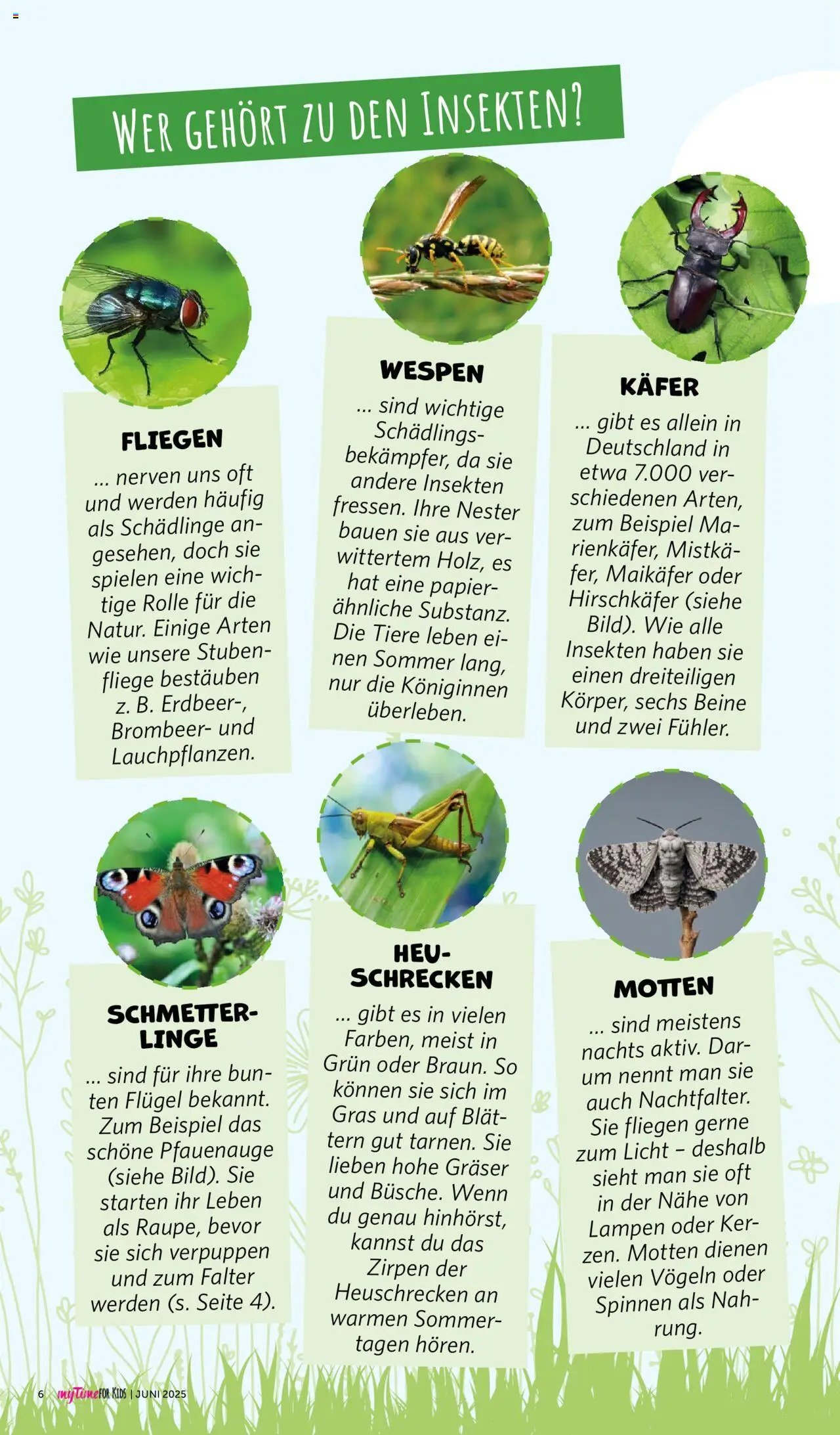 Famila Nordwest - myTime Juni 2025