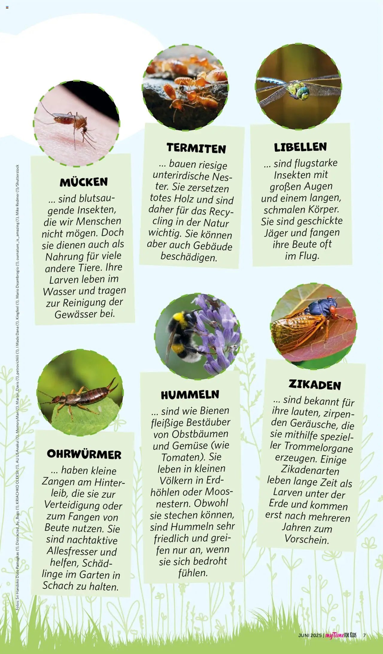 Famila Nordwest - myTime Juni 2025