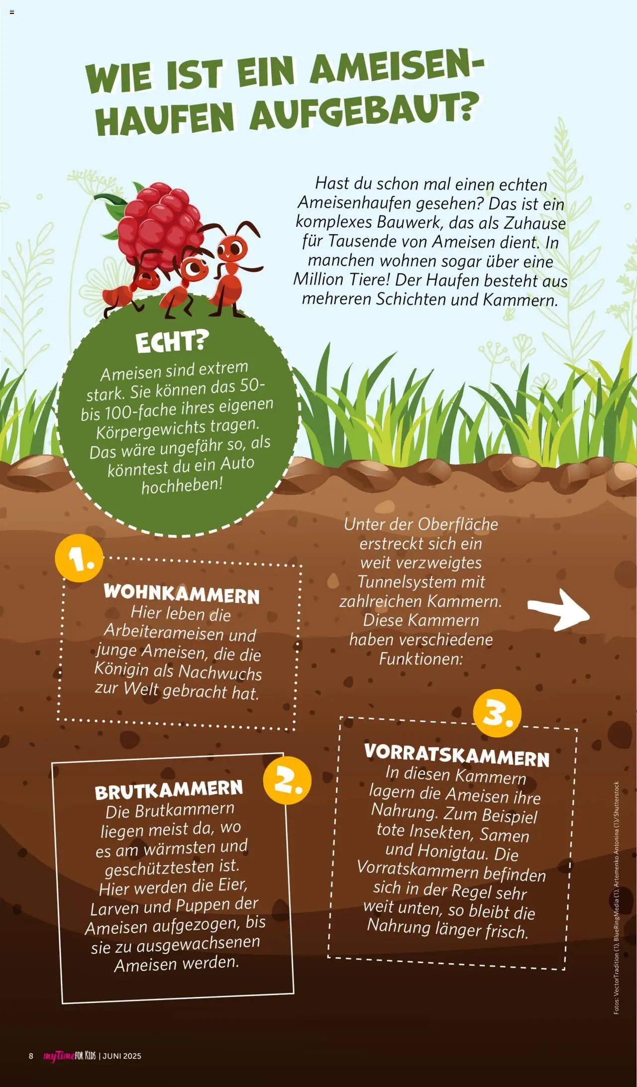 Famila Nordwest - myTime Juni 2025