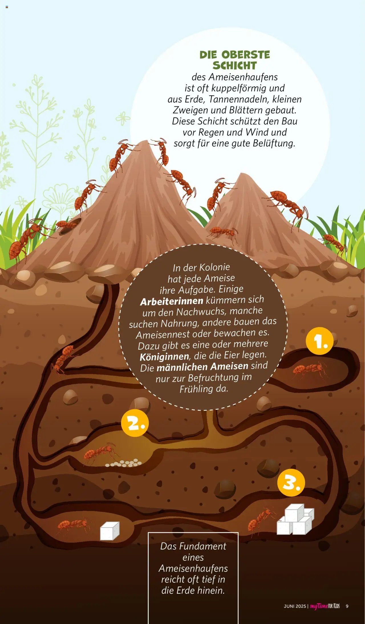 Famila Nordwest - myTime Juni 2025