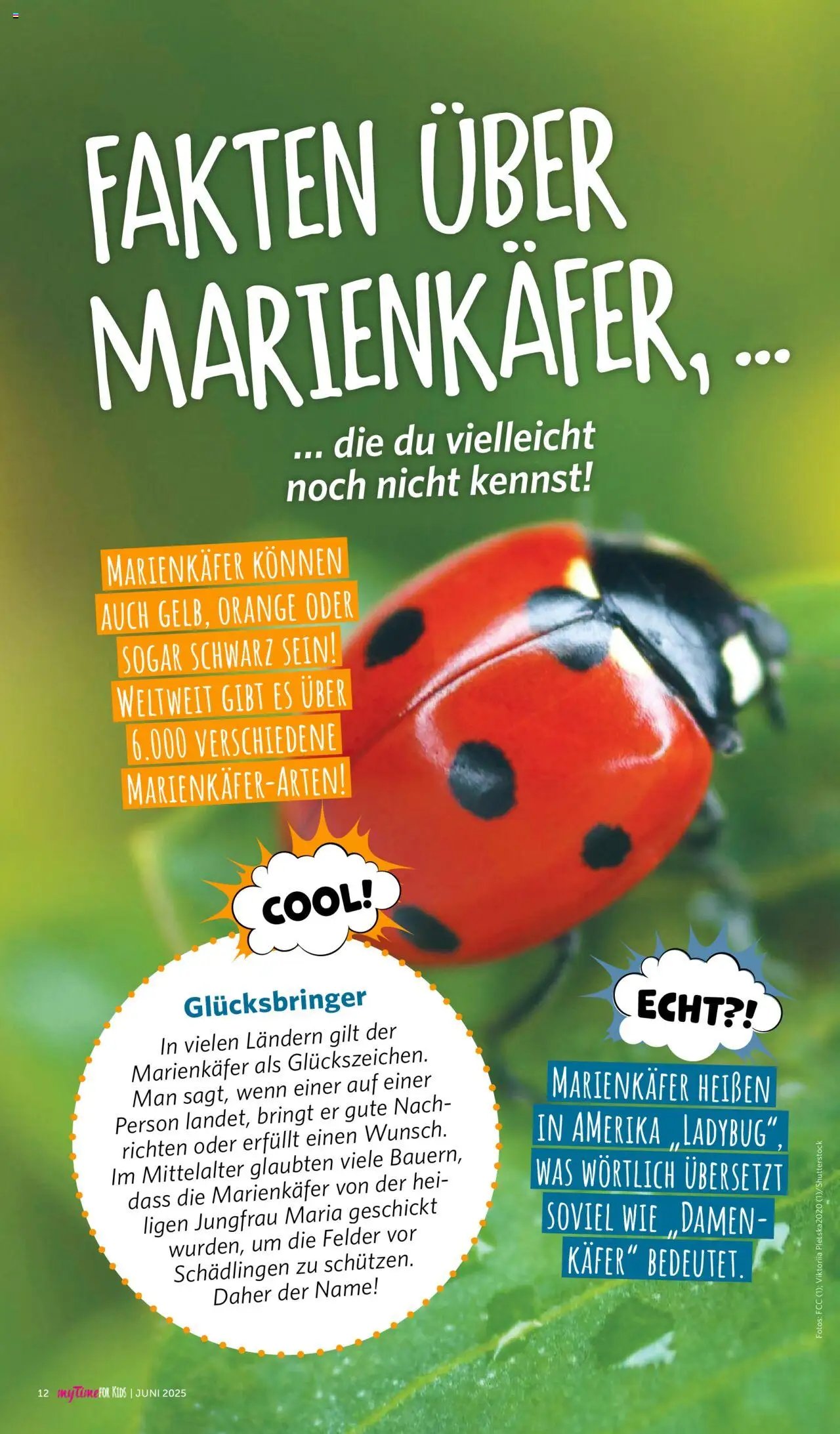 Famila Nordwest - myTime Juni 2025