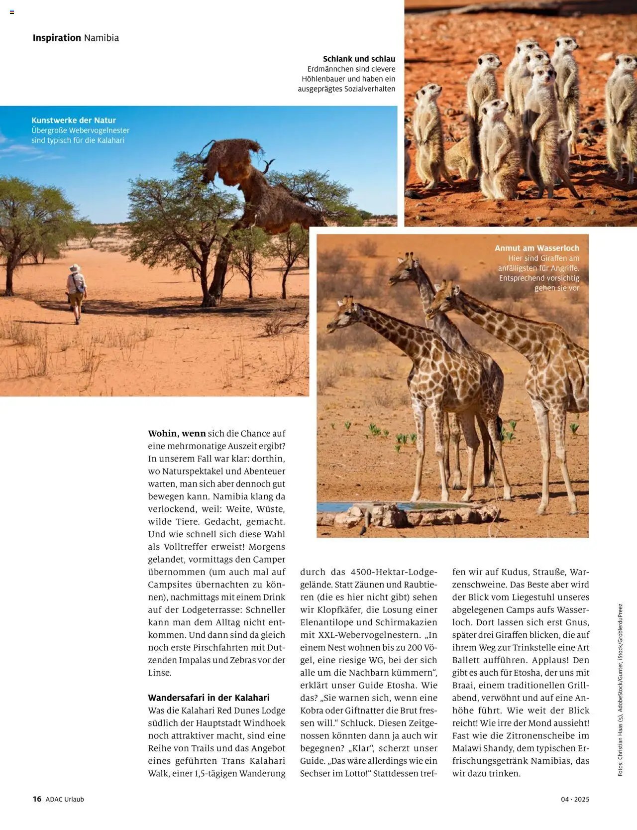 Galeria Reisen Prospekt (2025-07-04 - 2025-07-28)