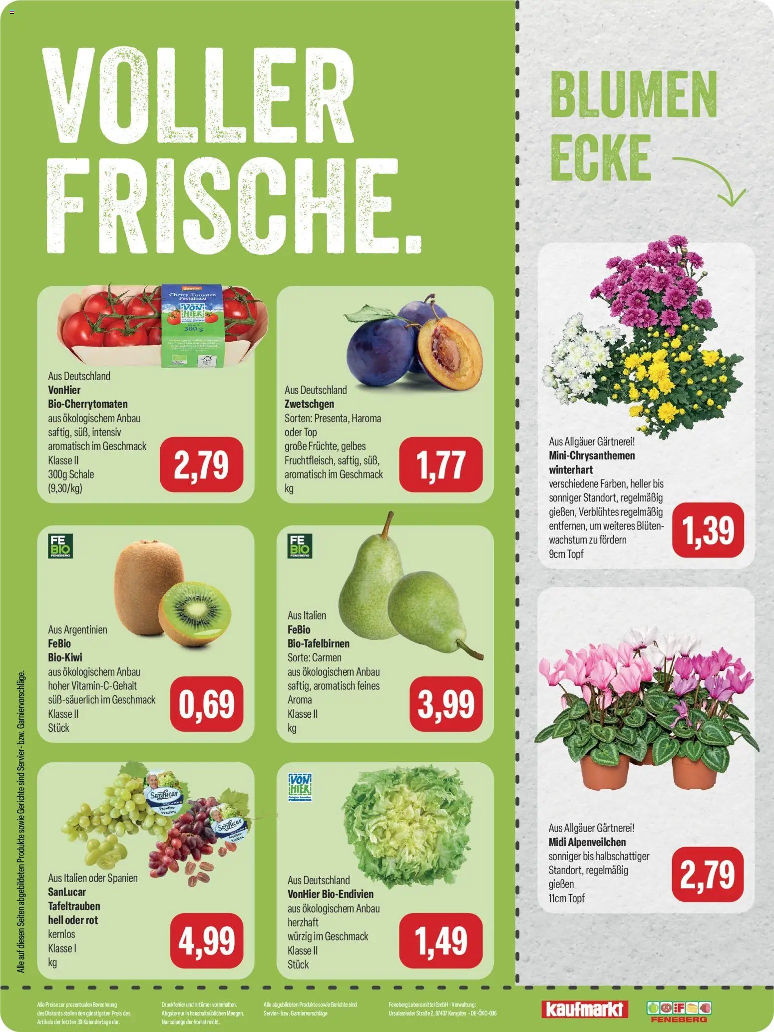 Feneberg Angebote