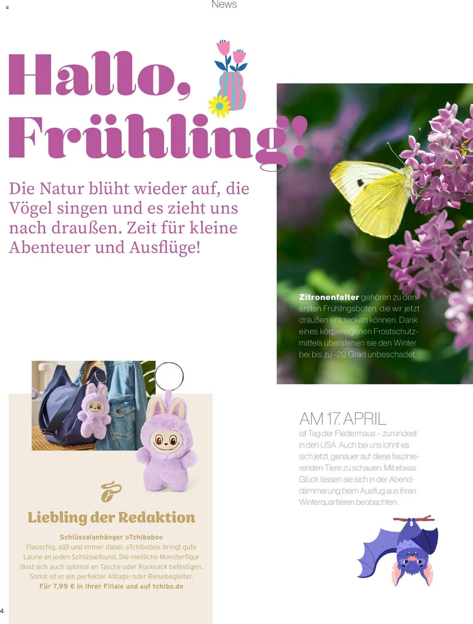 Tchibo Magazin Momente