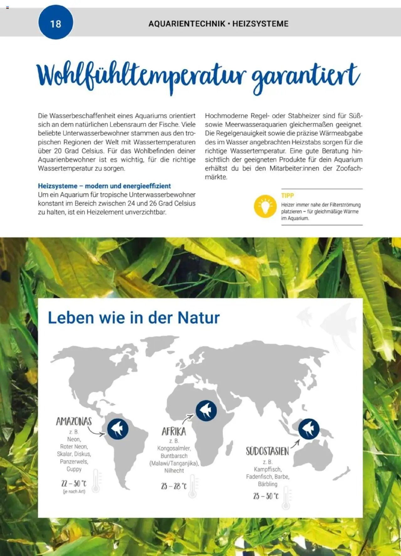 zookauf Themenkatalog Aquaristik
