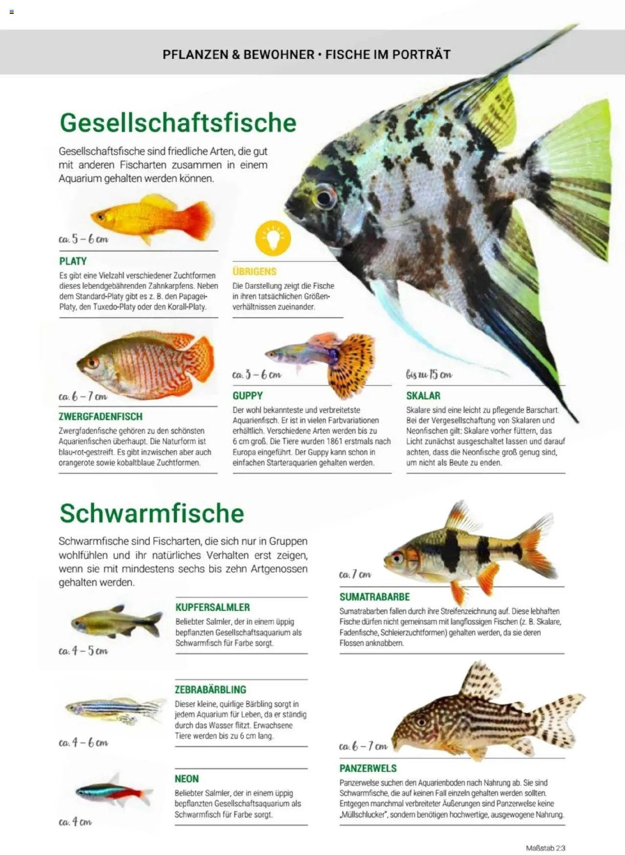zookauf Themenkatalog Aquaristik