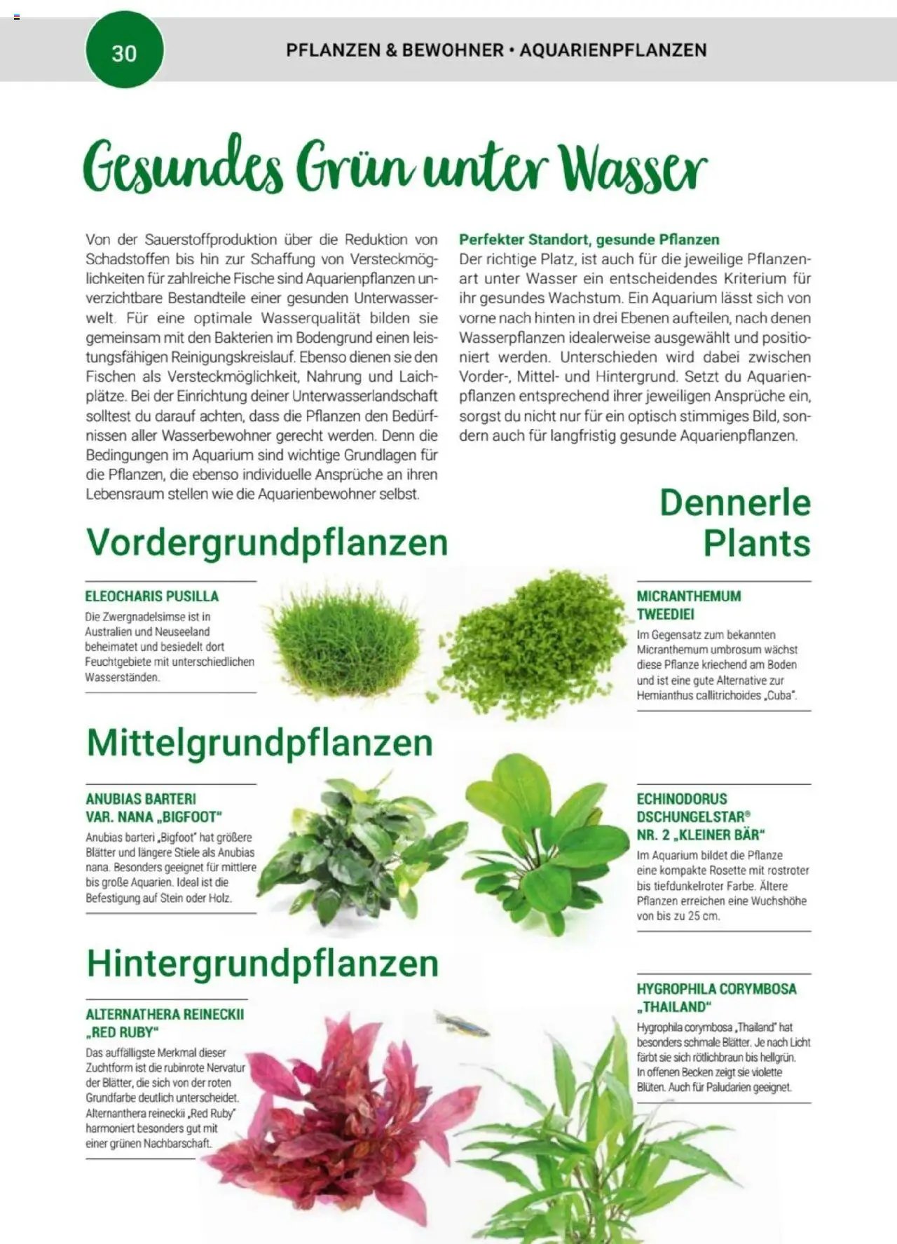 zookauf Themenkatalog Aquaristik
