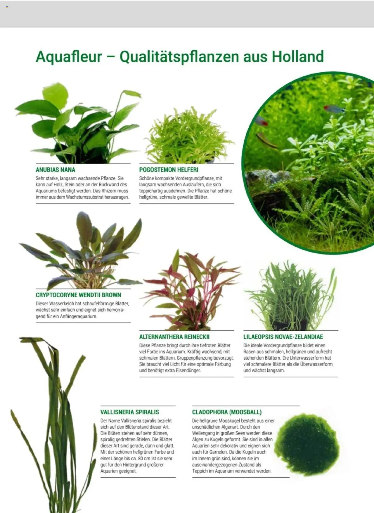 zookauf Themenkatalog Aquaristik