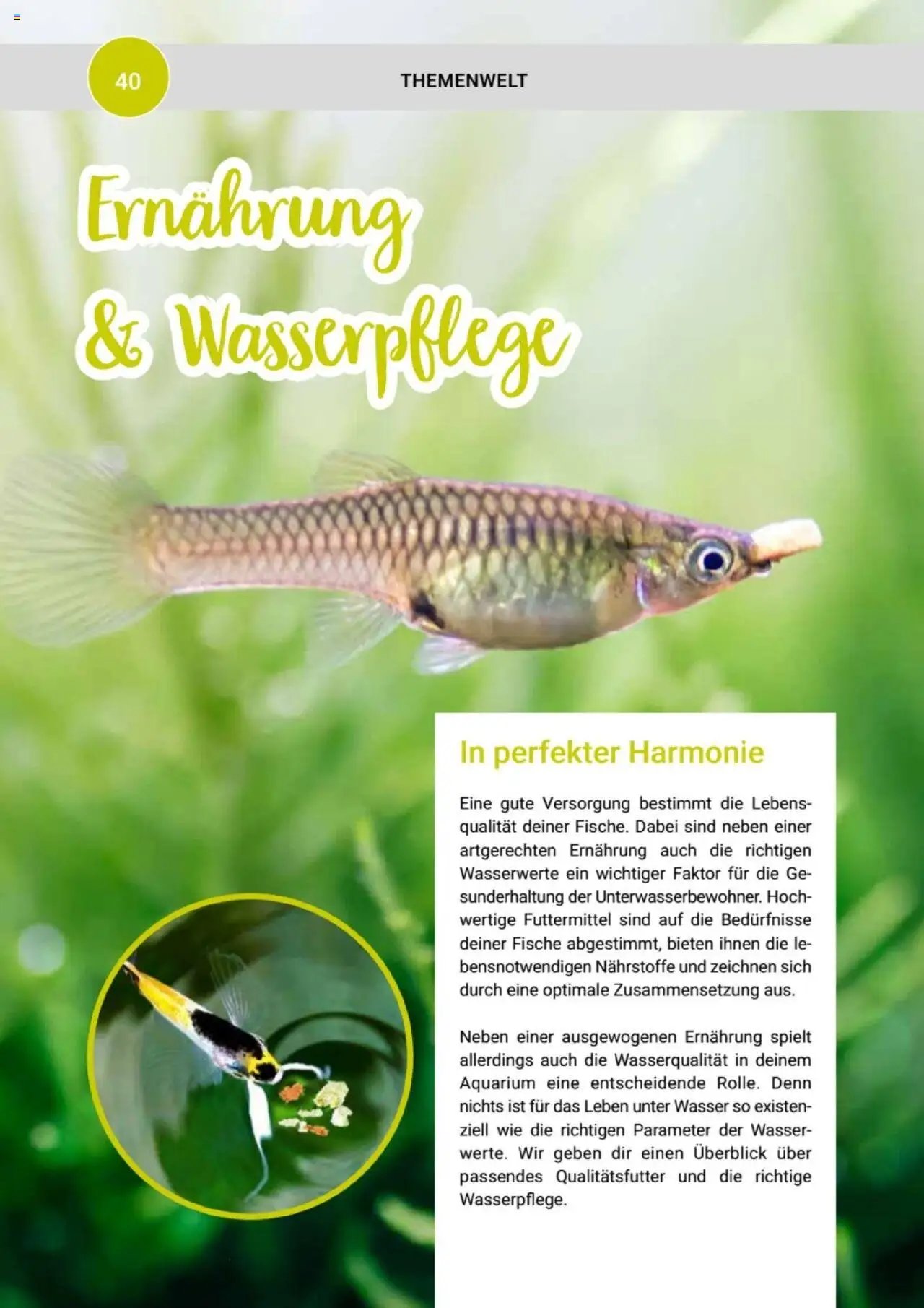zookauf Themenkatalog Aquaristik